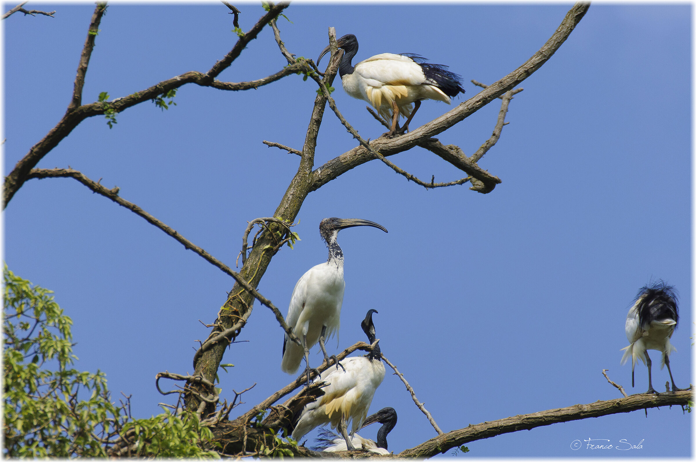 Riunione di condominio