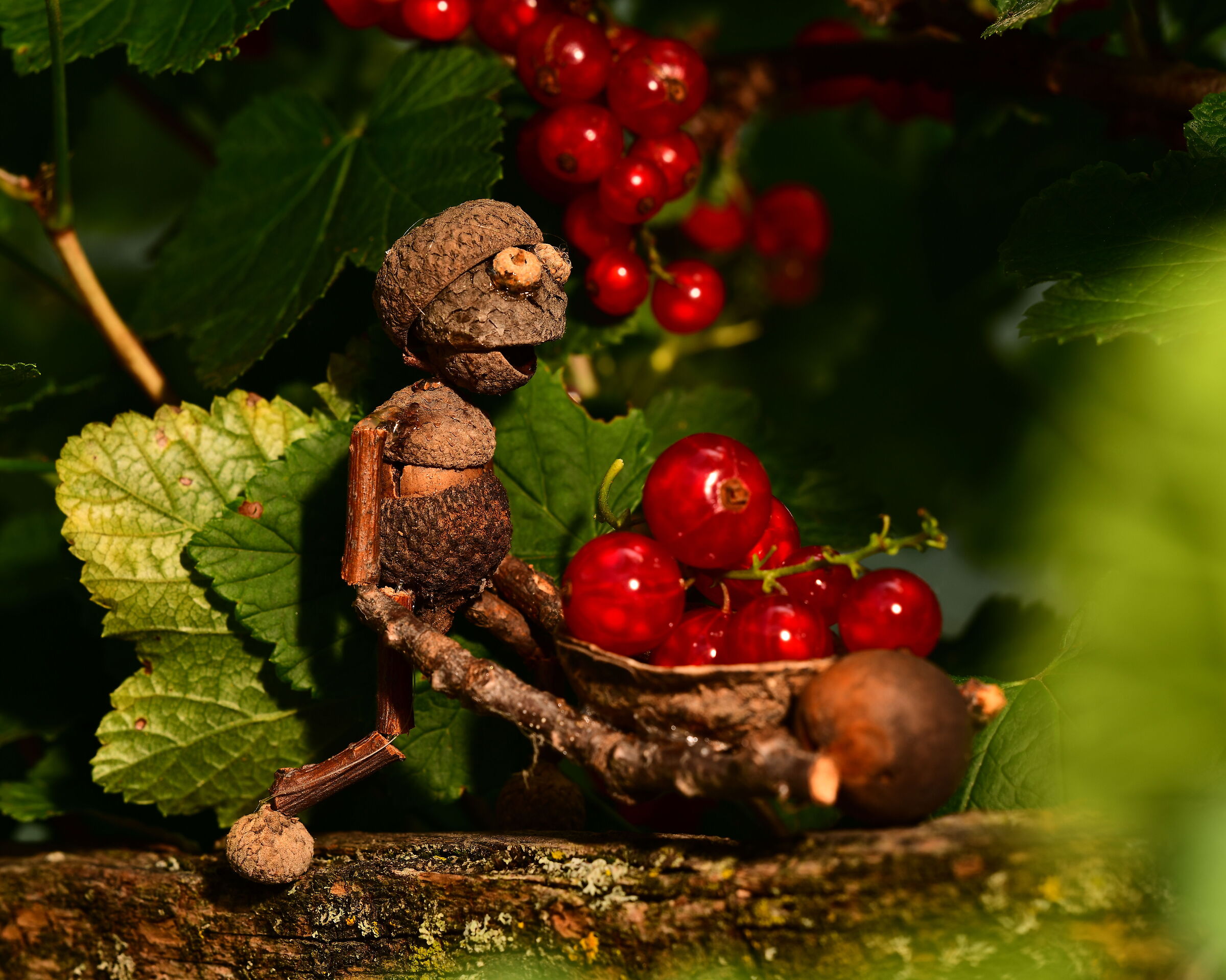 The gooseberry thief...