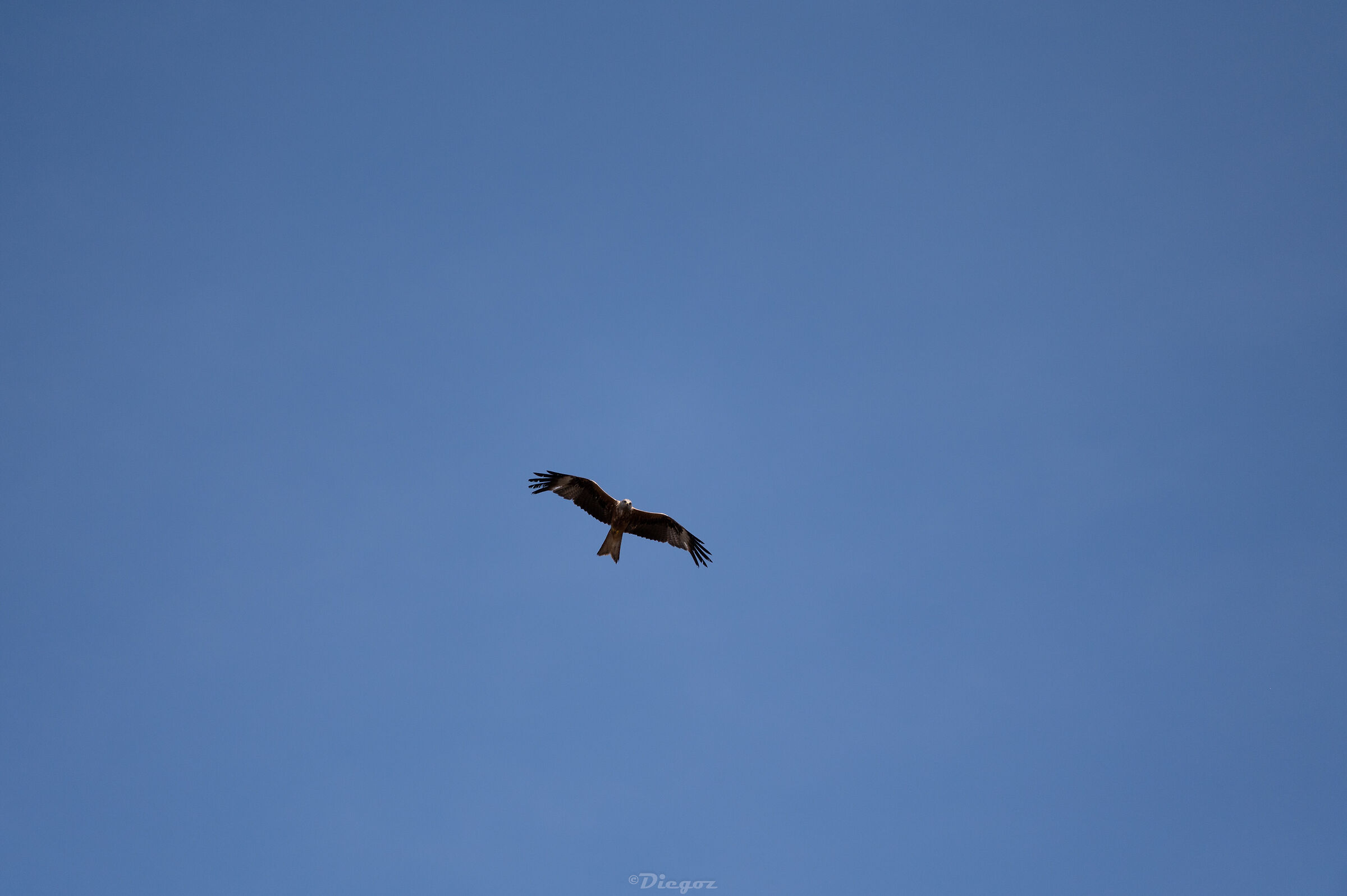 Untitled Photo