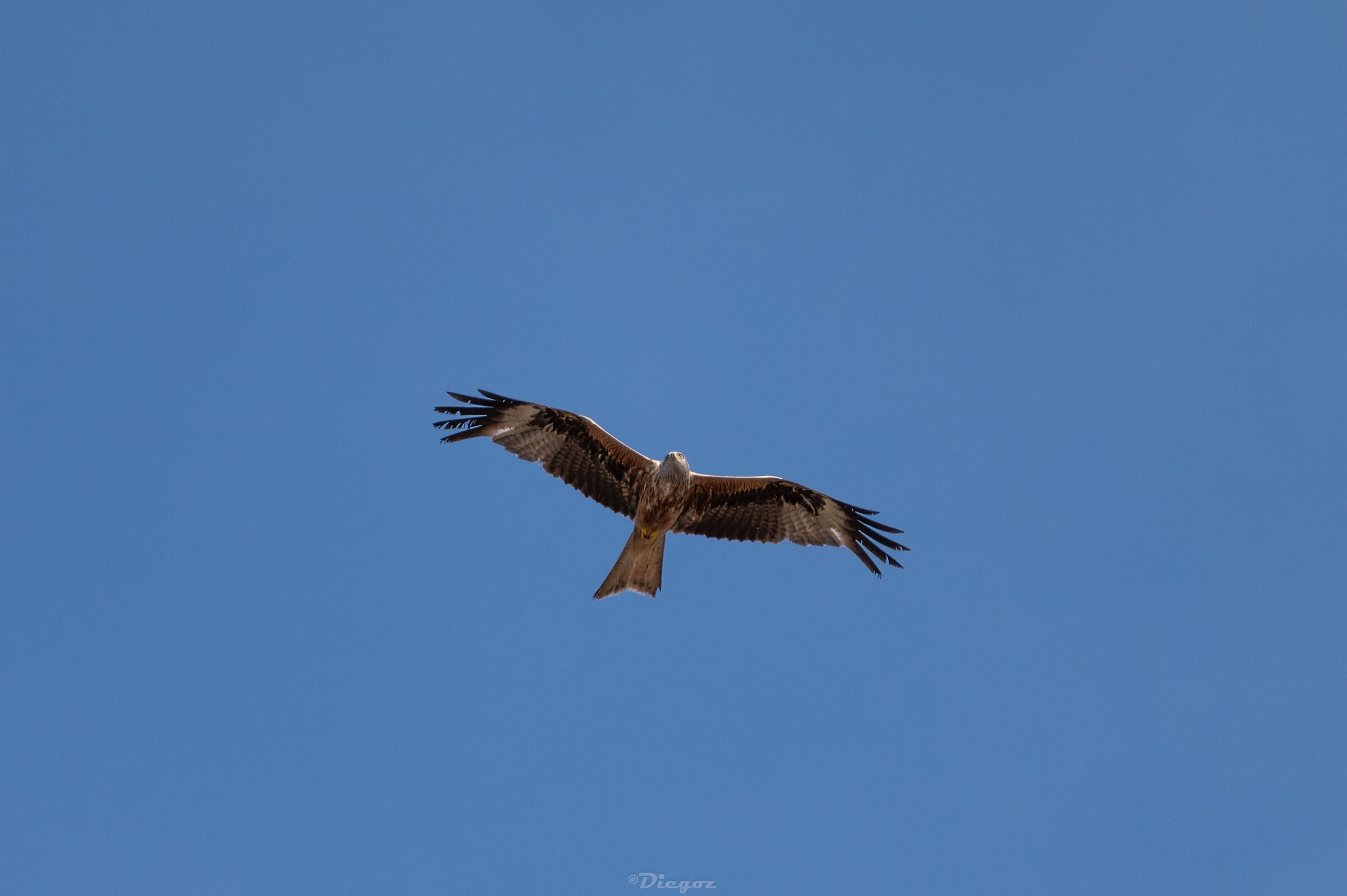Untitled Photo