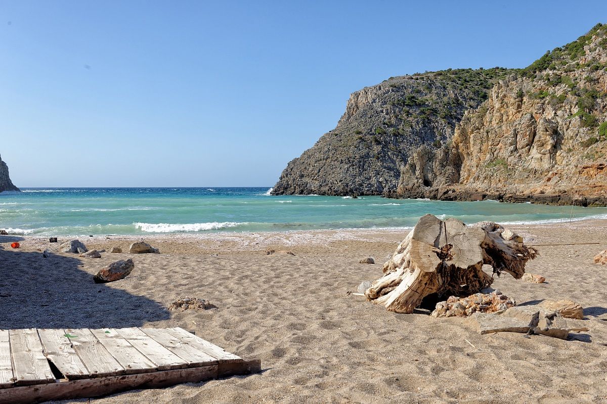 haul domestic Bugerru