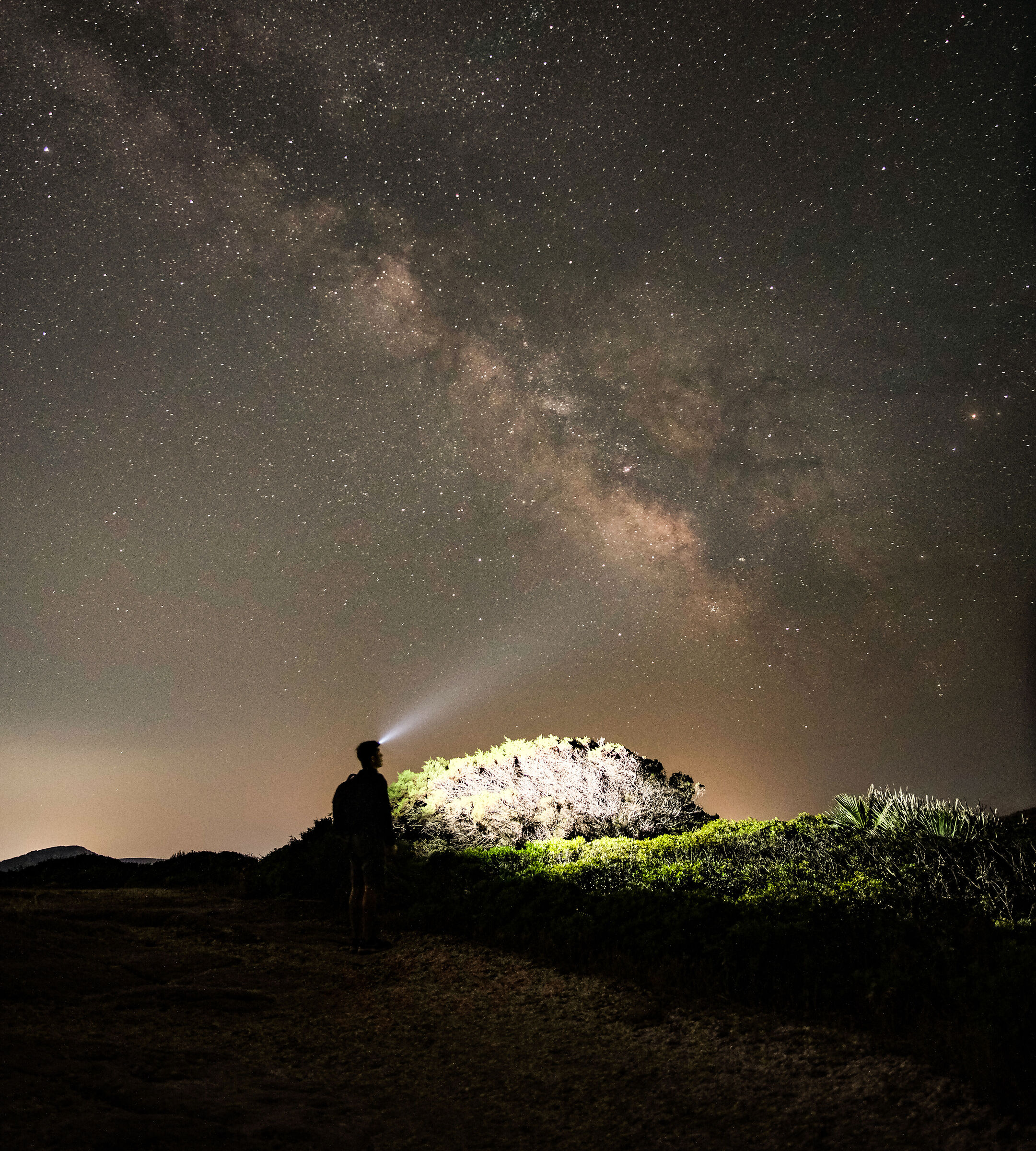 Scatto singolo Notturno