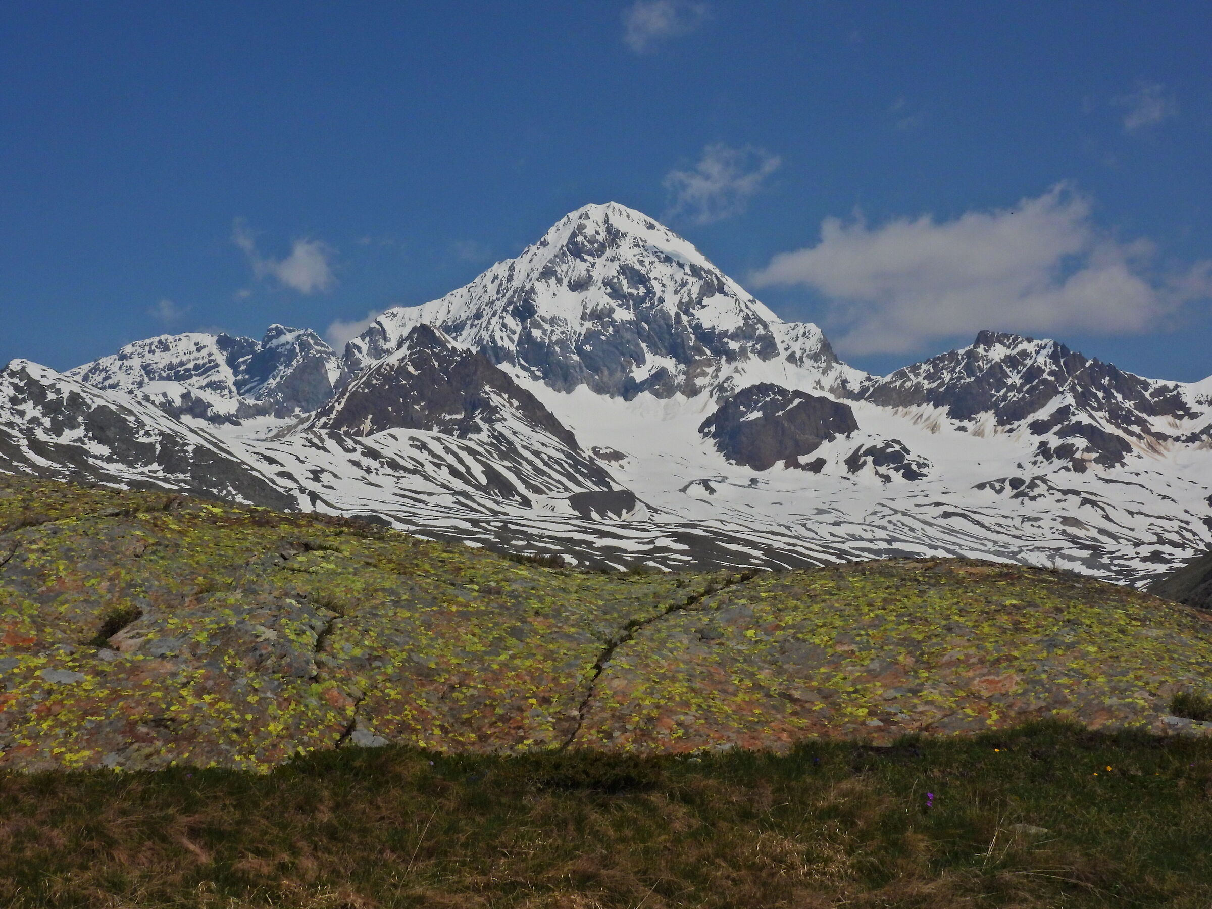 Gran Zebrù seen from the valley of the Forni