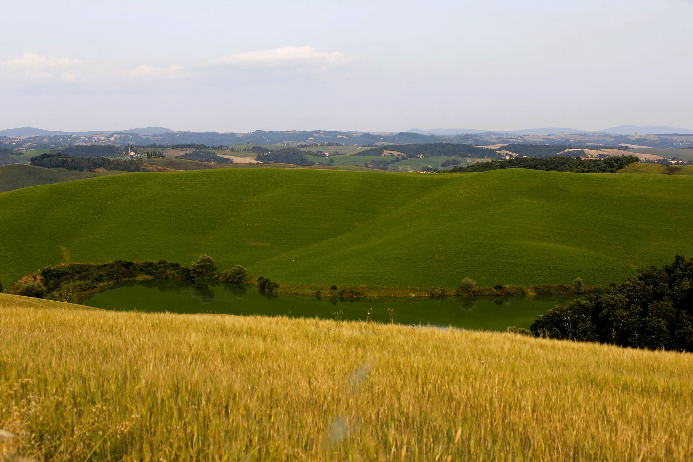 It's not the Val d'Orcia...... but.....