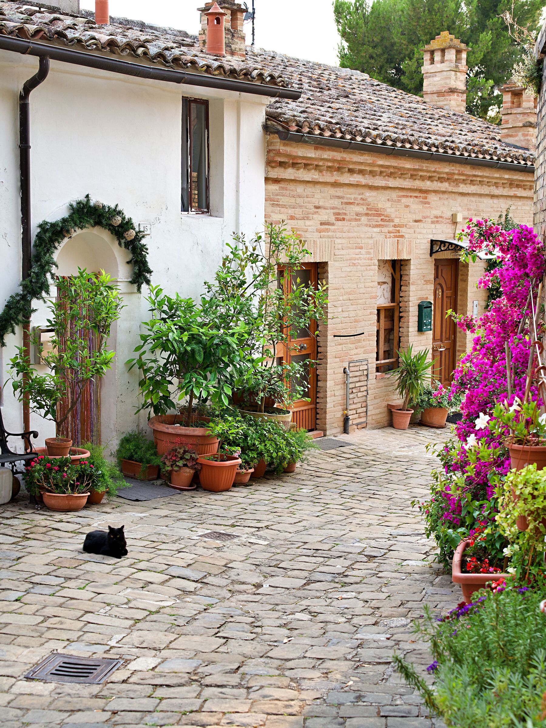 Svicolando a Montecassiano