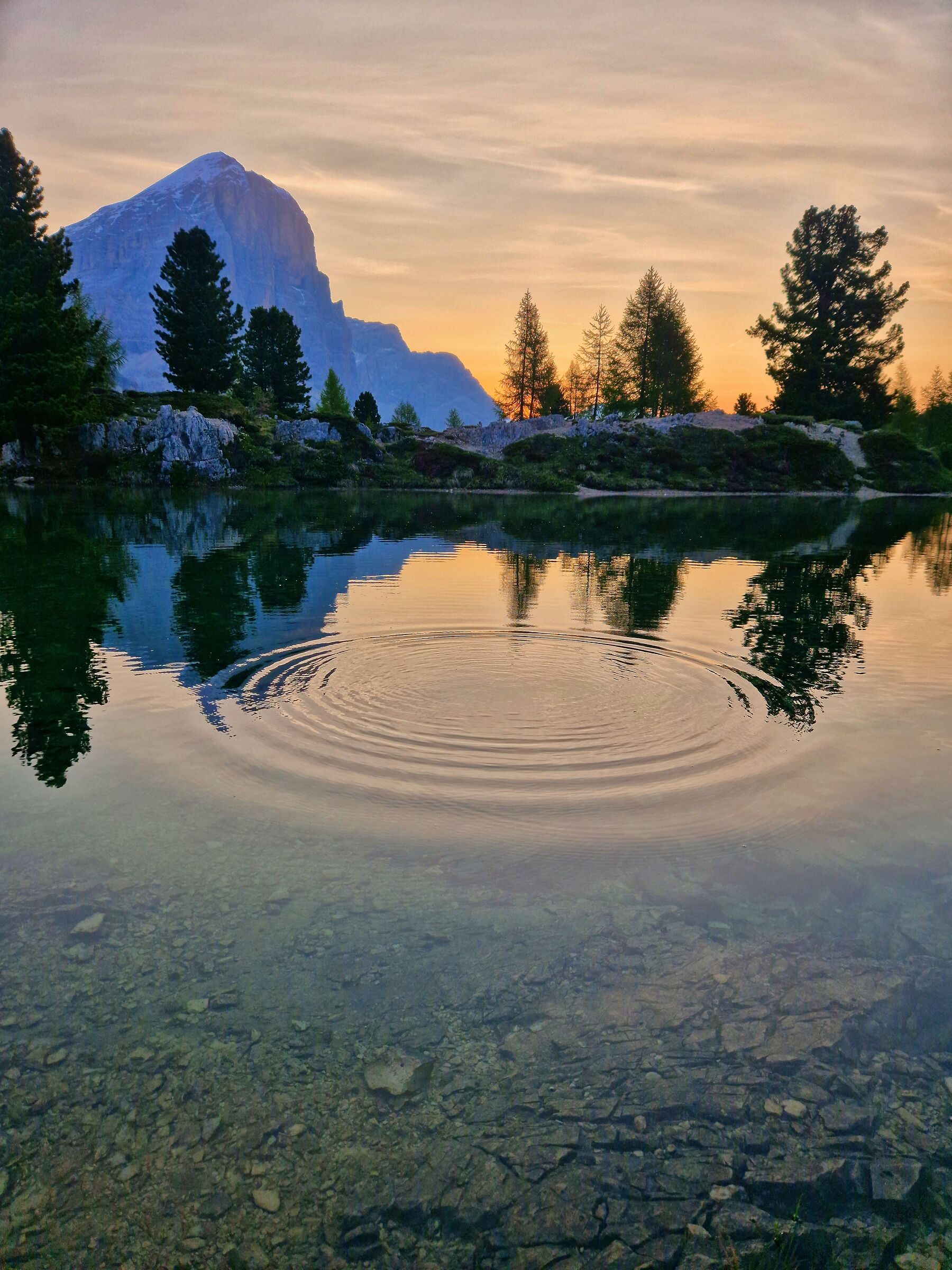 Il cerchio nel Limides