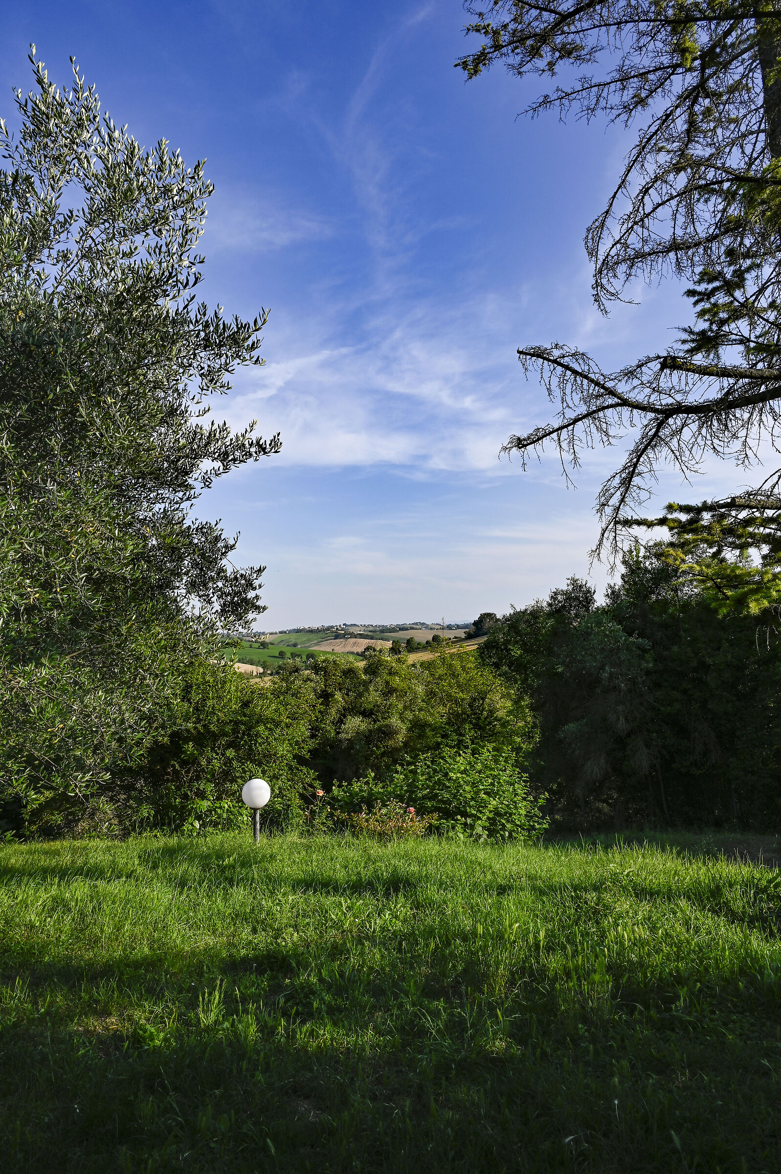 uno sguardo dal giardino