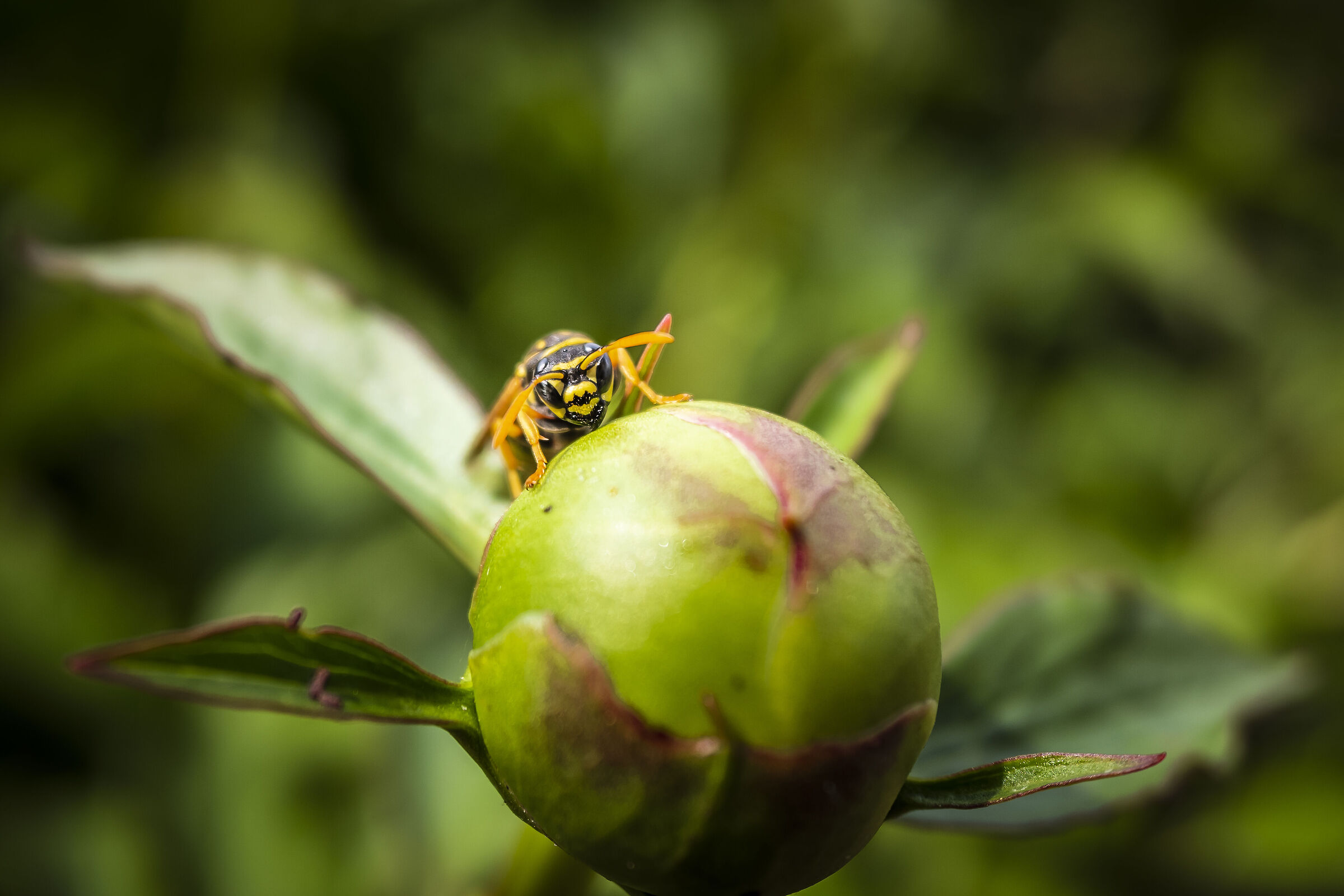 A moment of relaxation