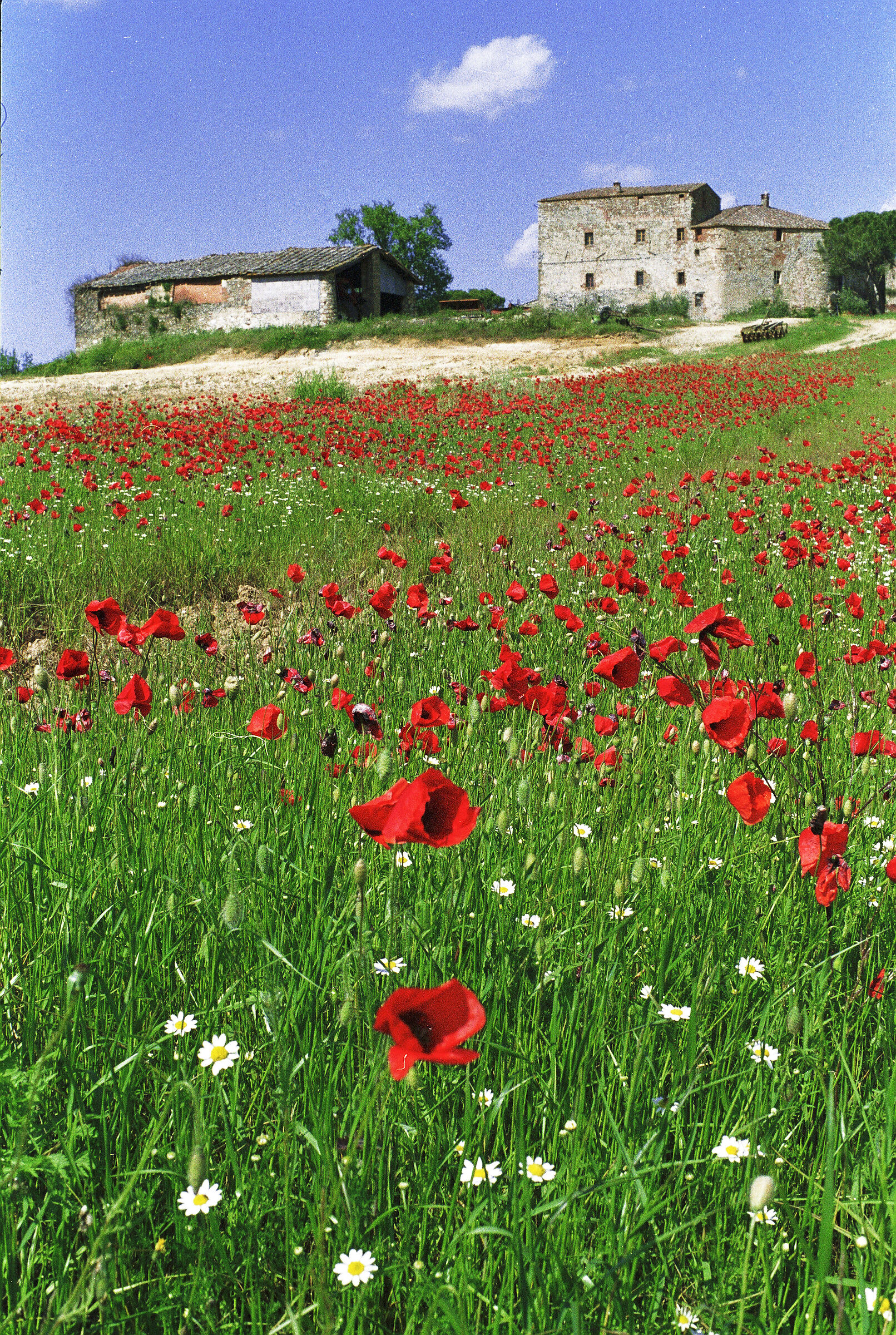 Castiglion Ghinibaldi