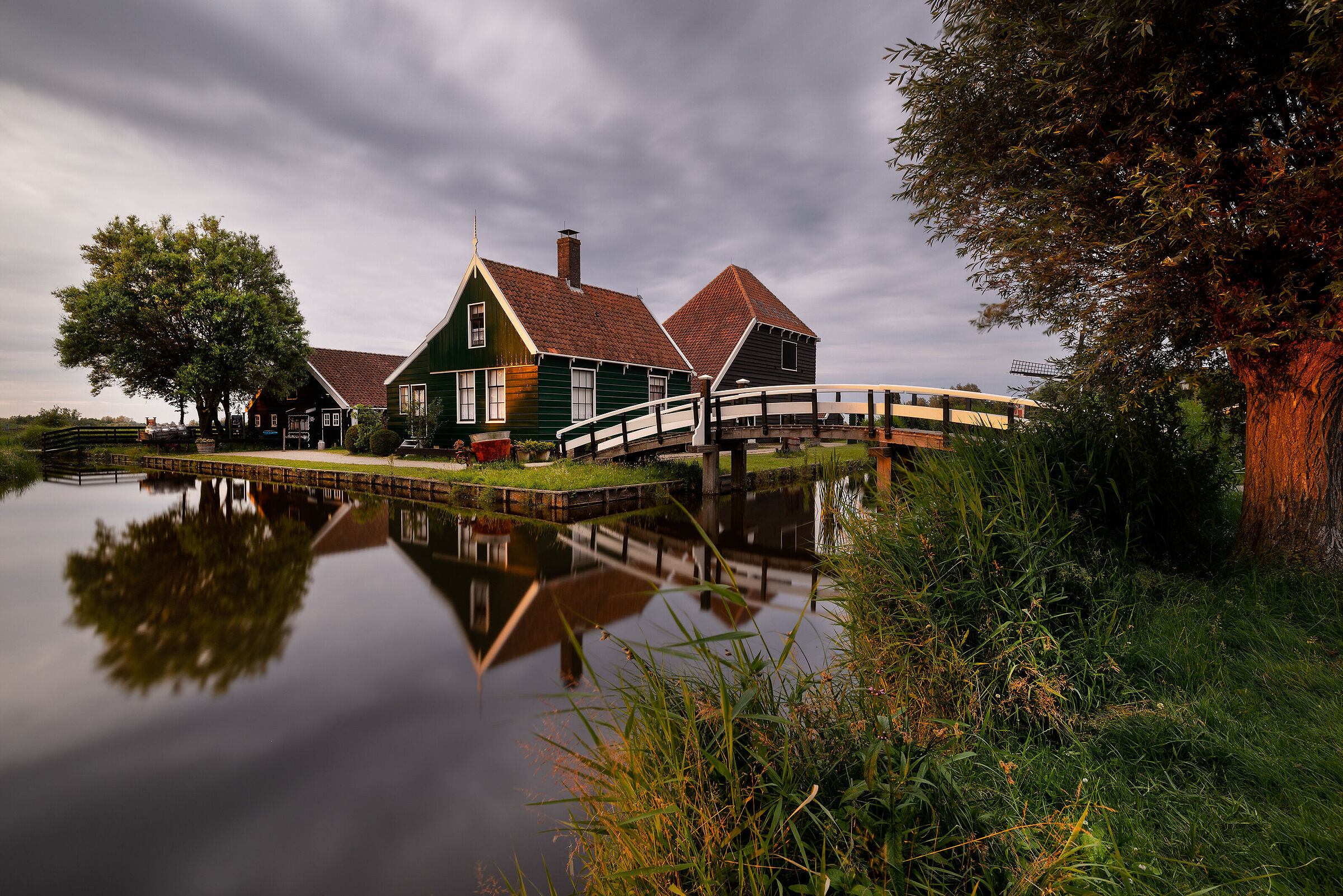 Zaanse Schans, la fabbrica del formaggio