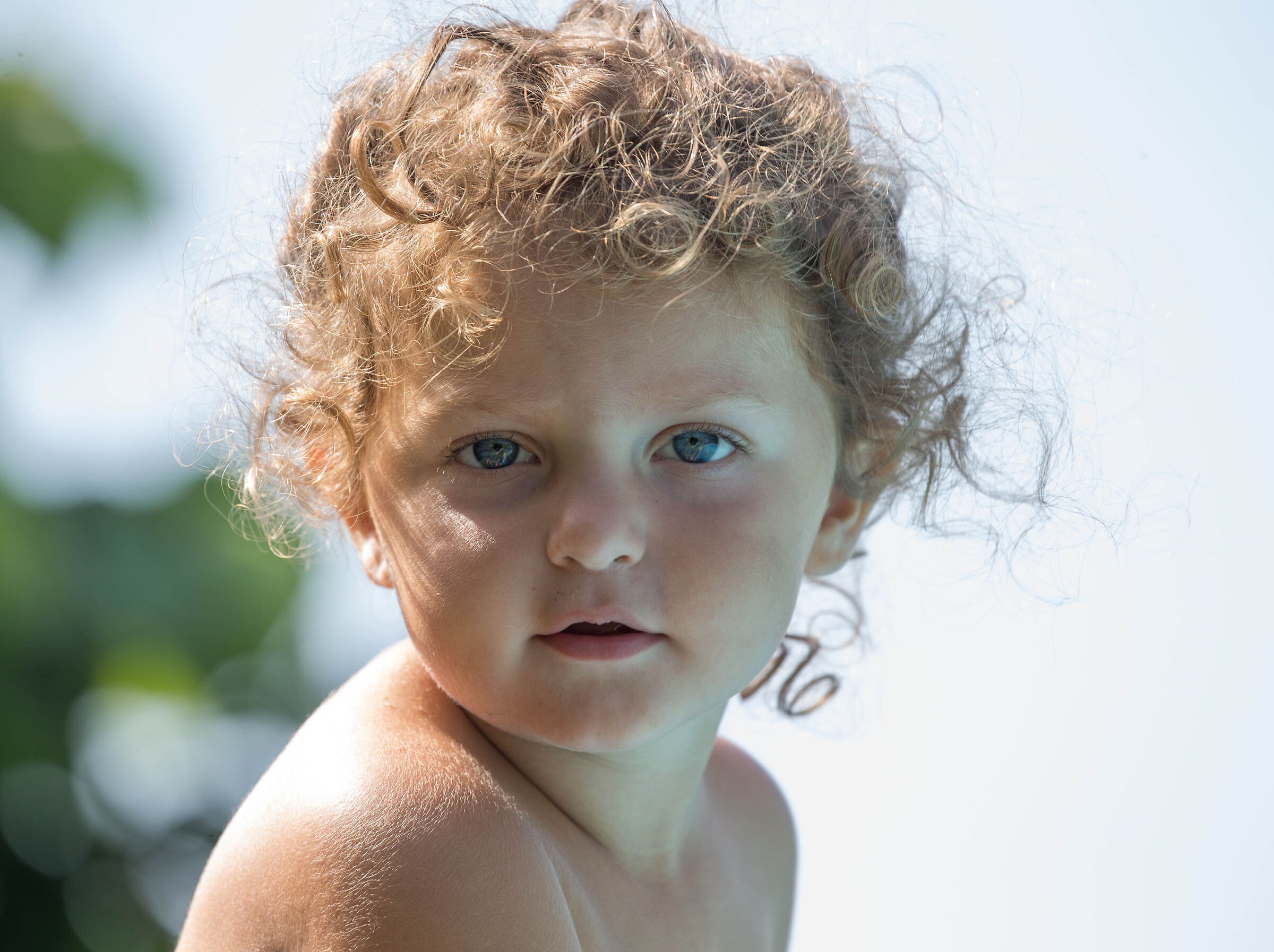 Bricipilla its first 27 months