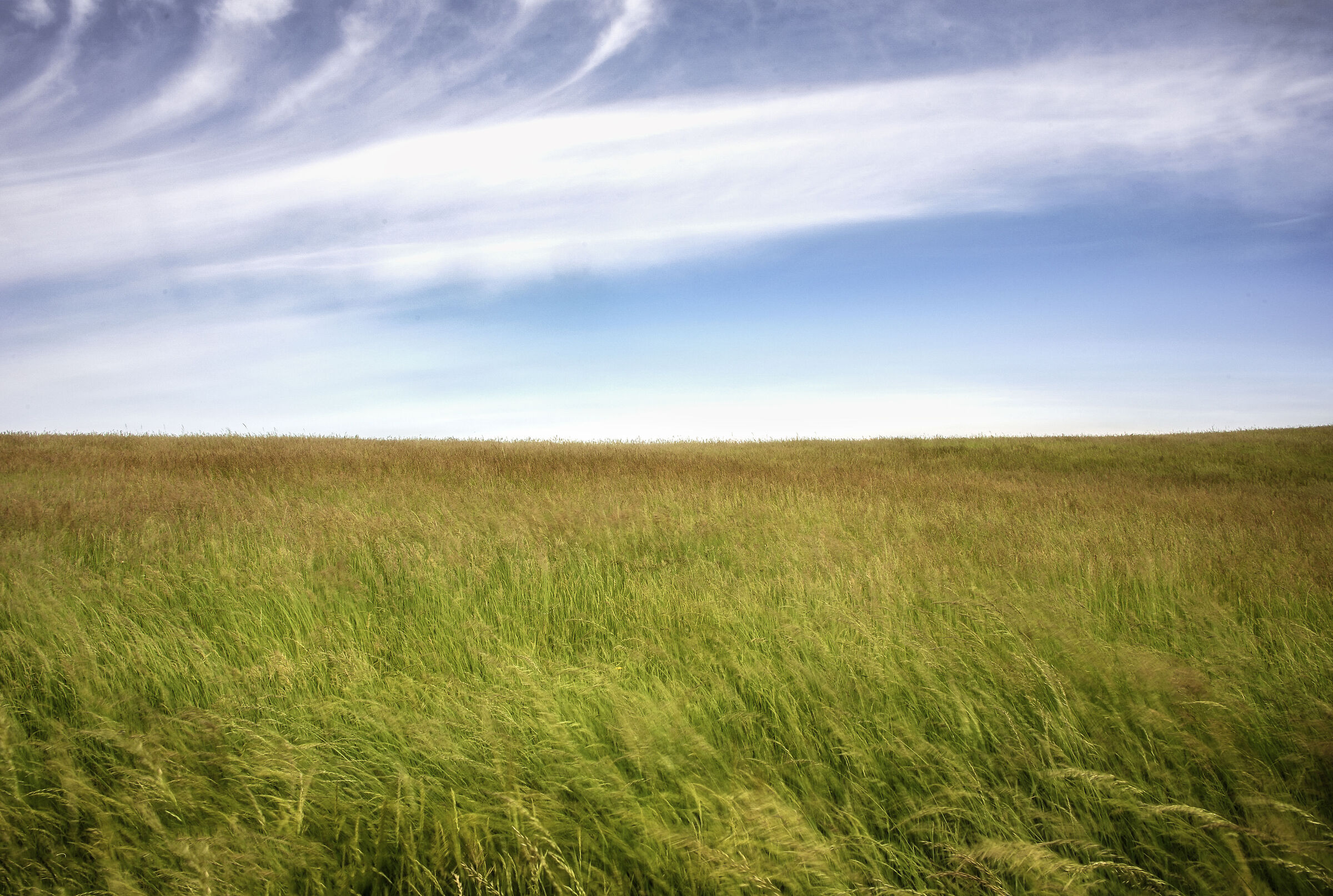The music of the wind
