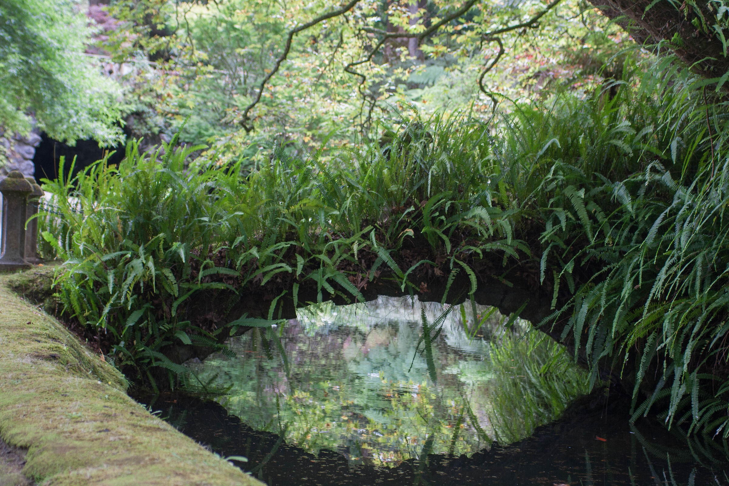 Parque Terra Nostra - Azores
