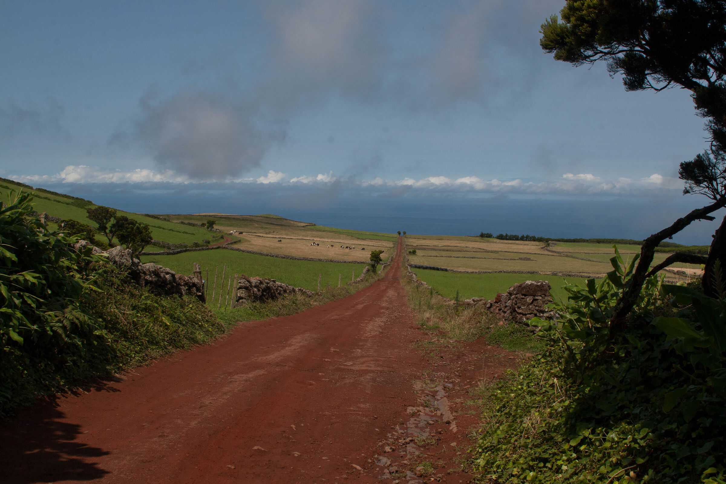 Sao Jorge - Azores