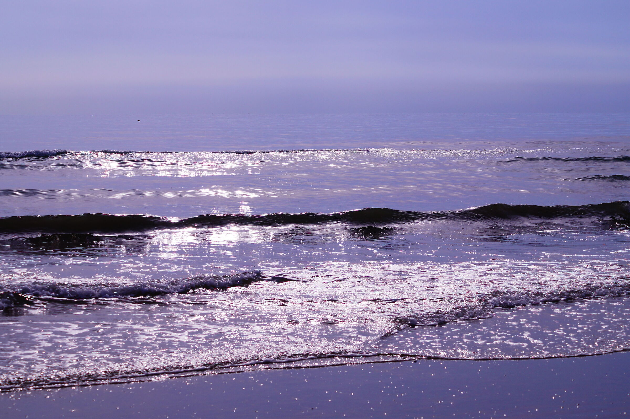 Untitled Photo