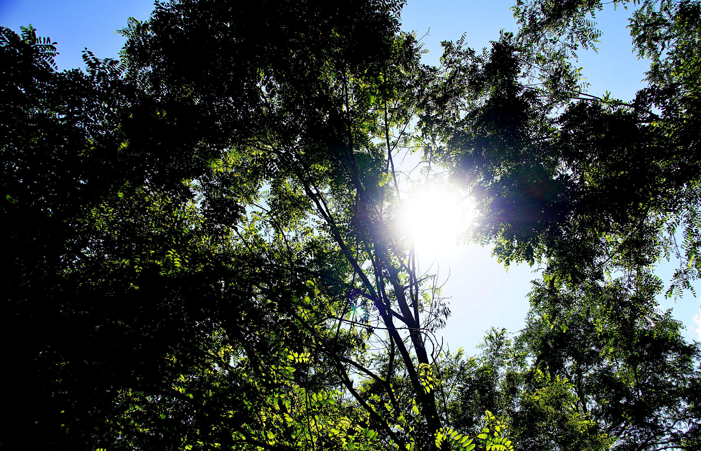 Untitled Photo