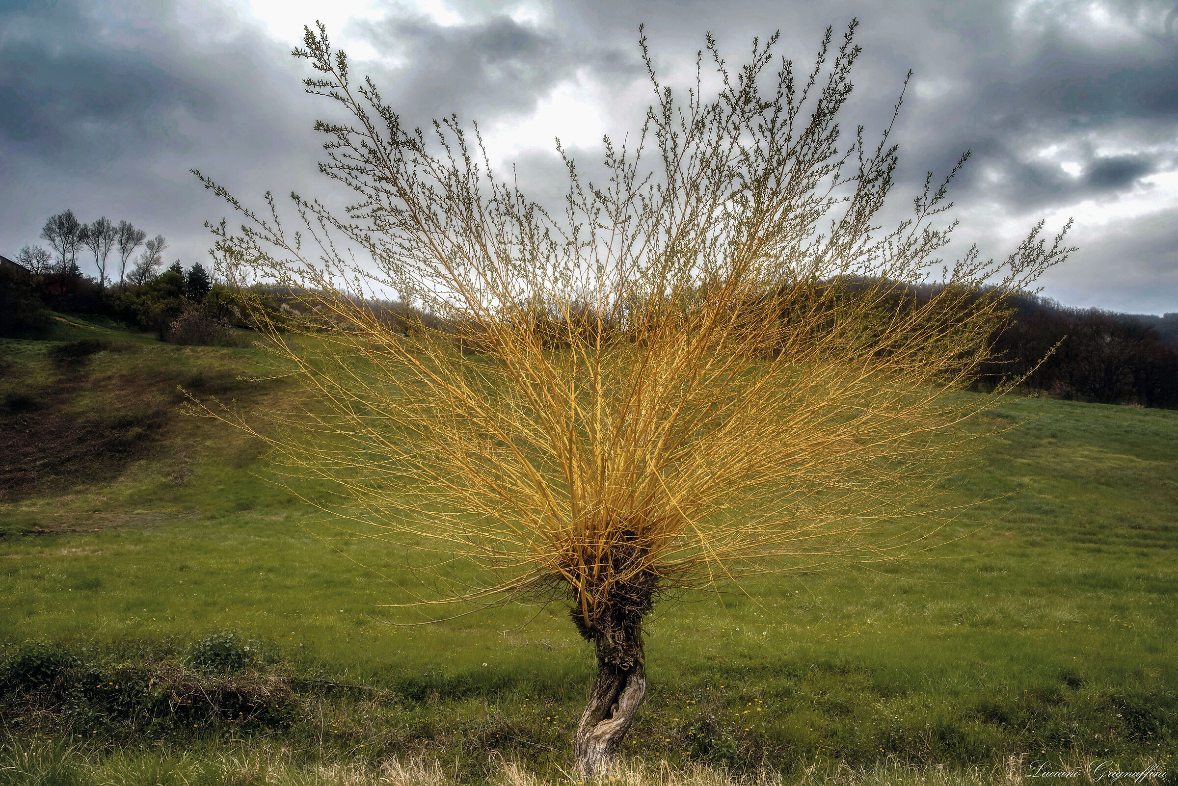 ... seasonal contrasts