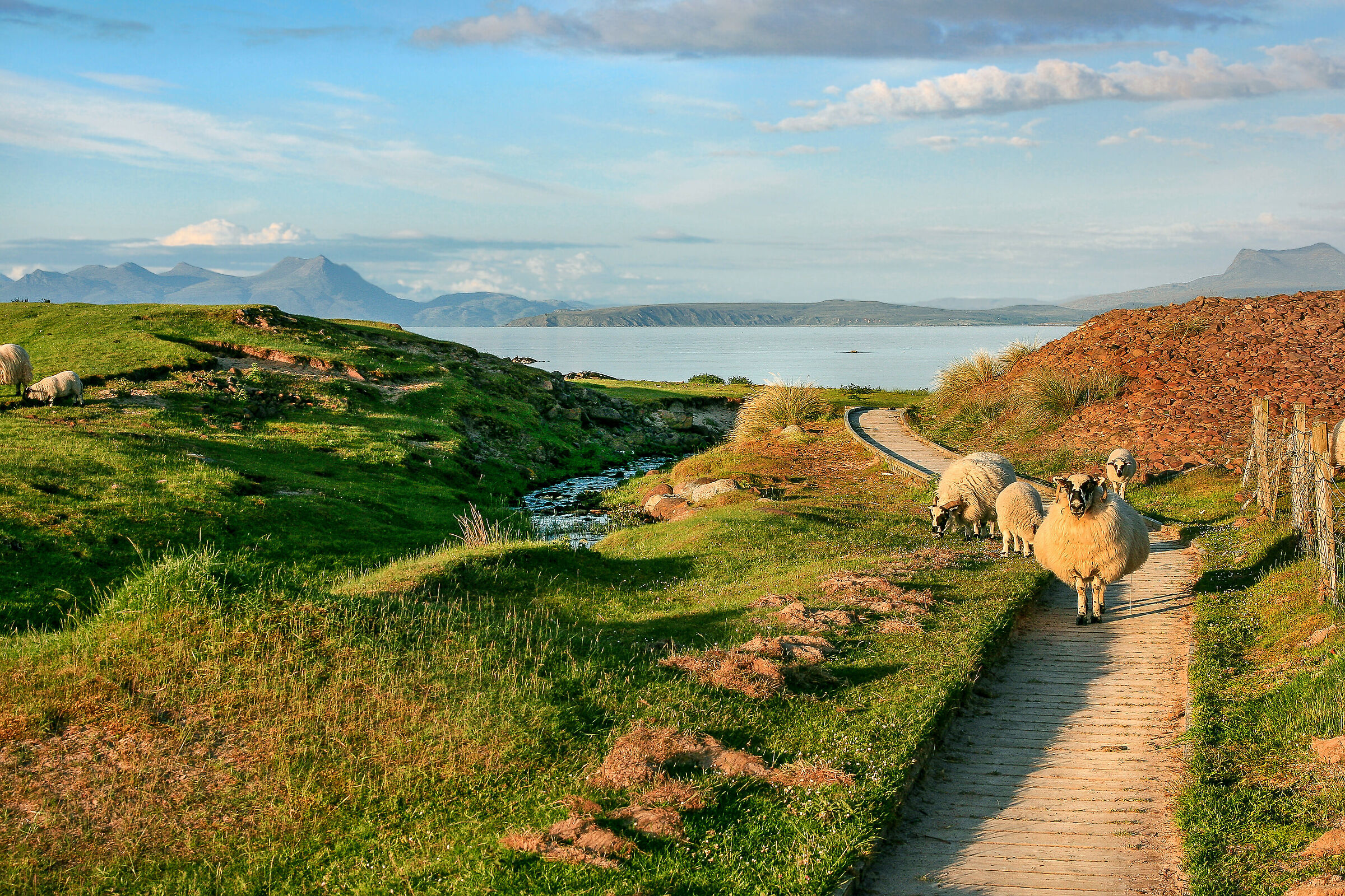 West coast (Highlands)