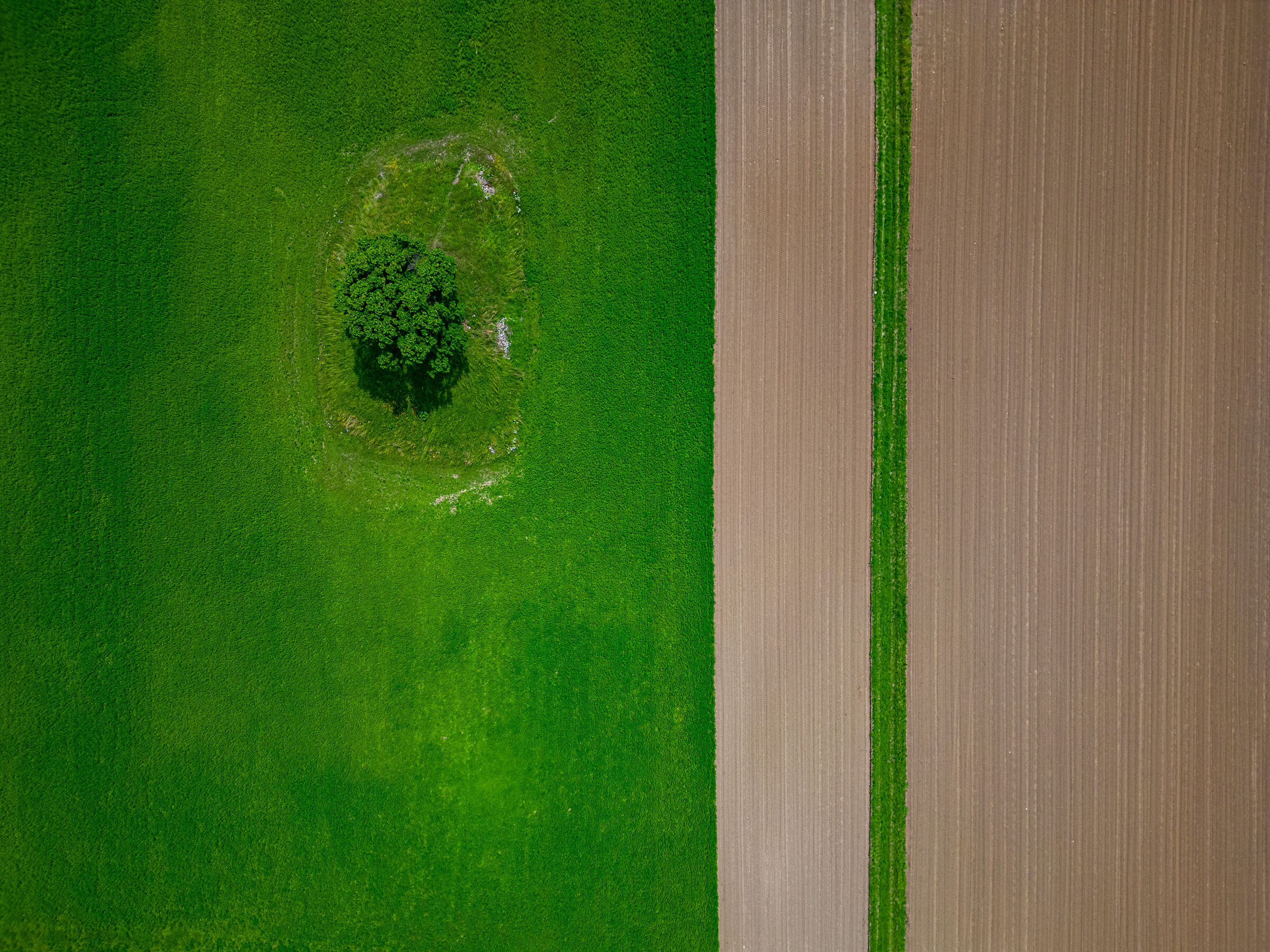 Geometries