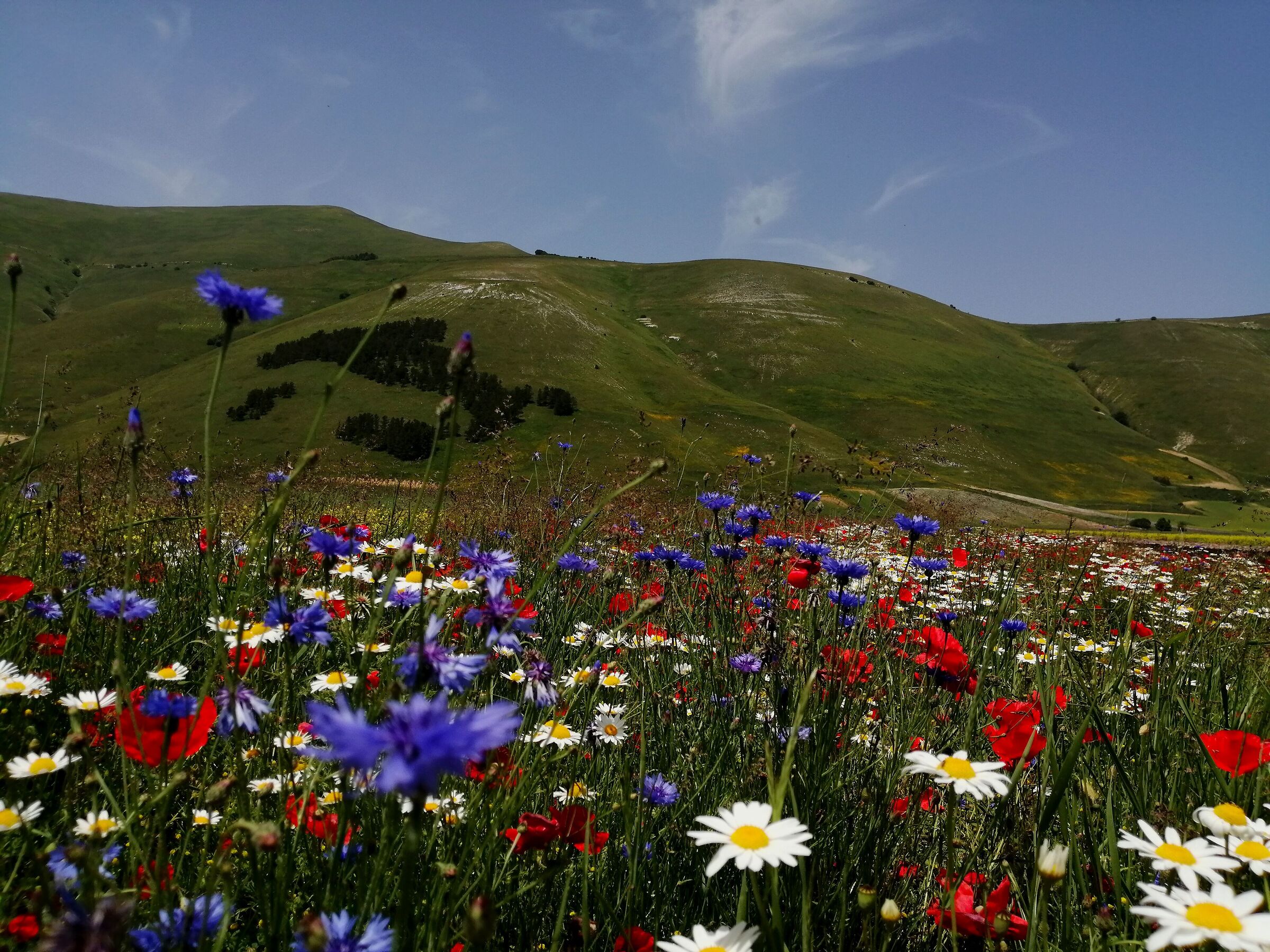 Castelluccio