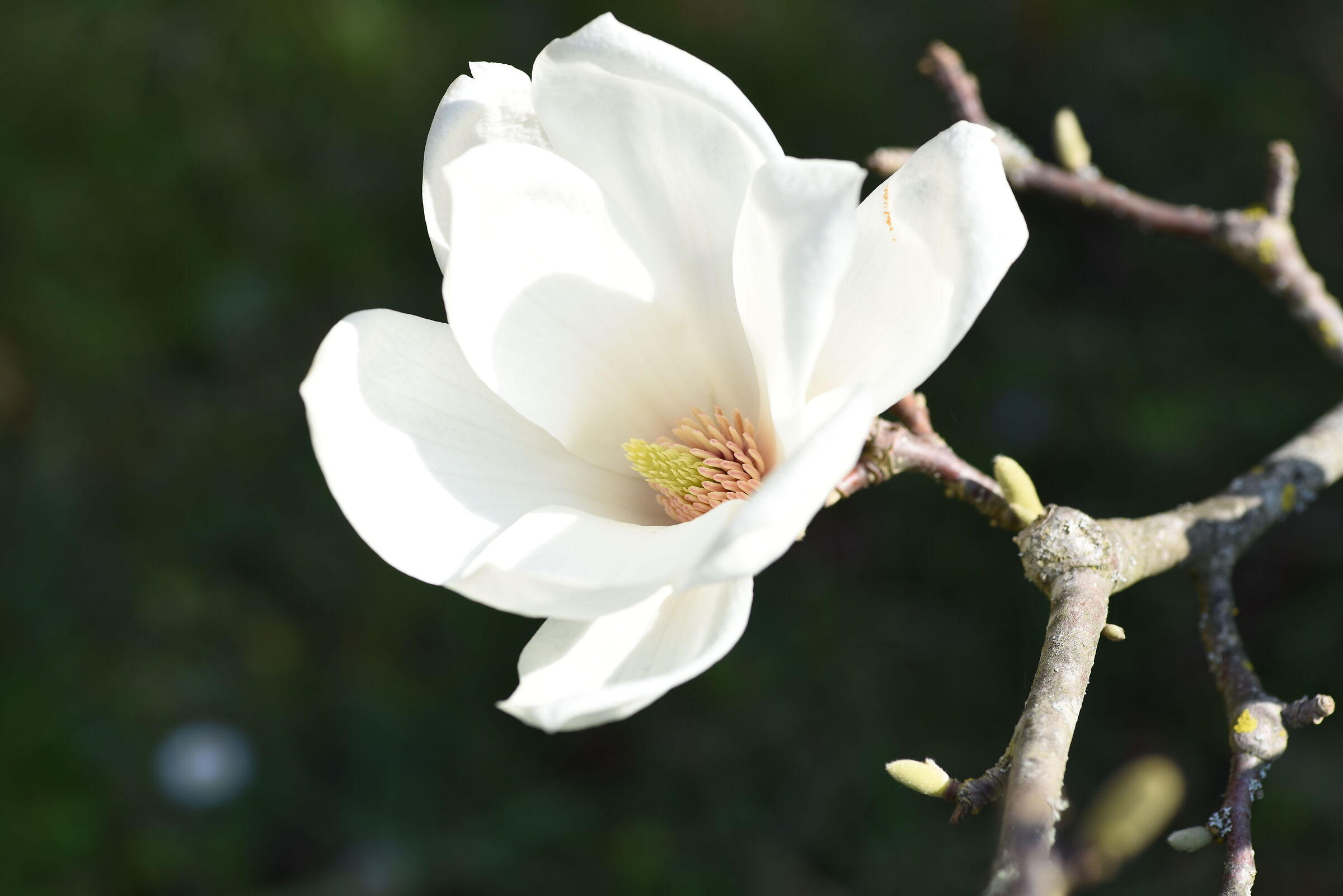 Untitled Photo