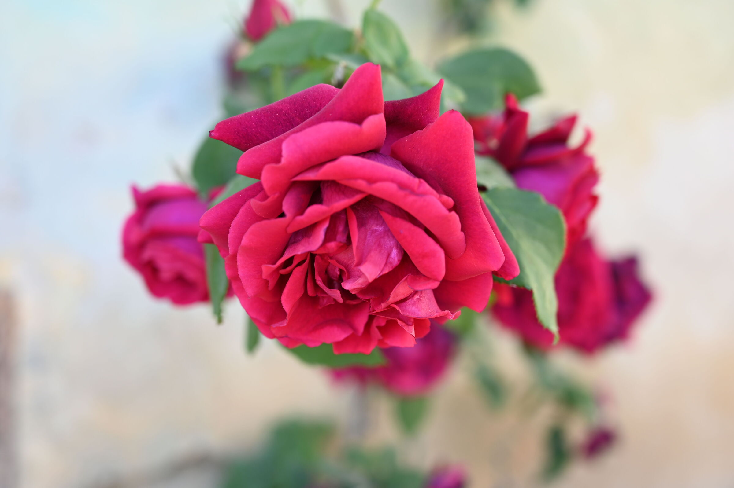 Untitled Photo