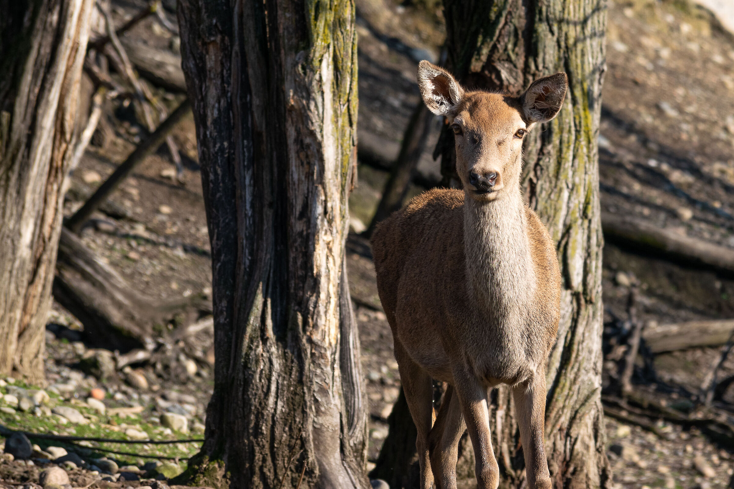 Incontri inaspettati