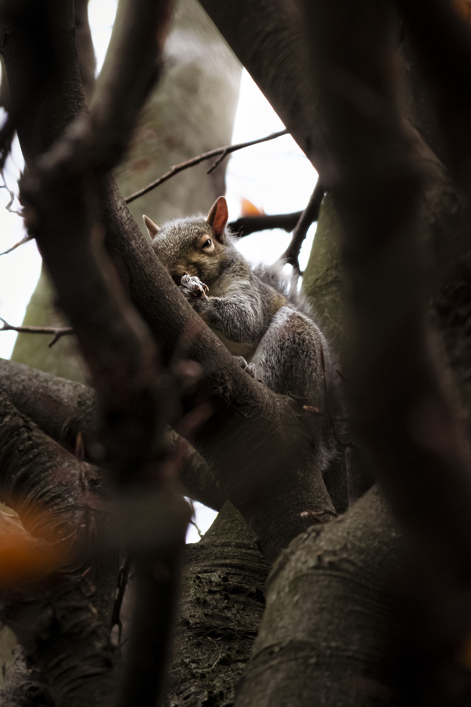 In inverno tutti hanno freddo