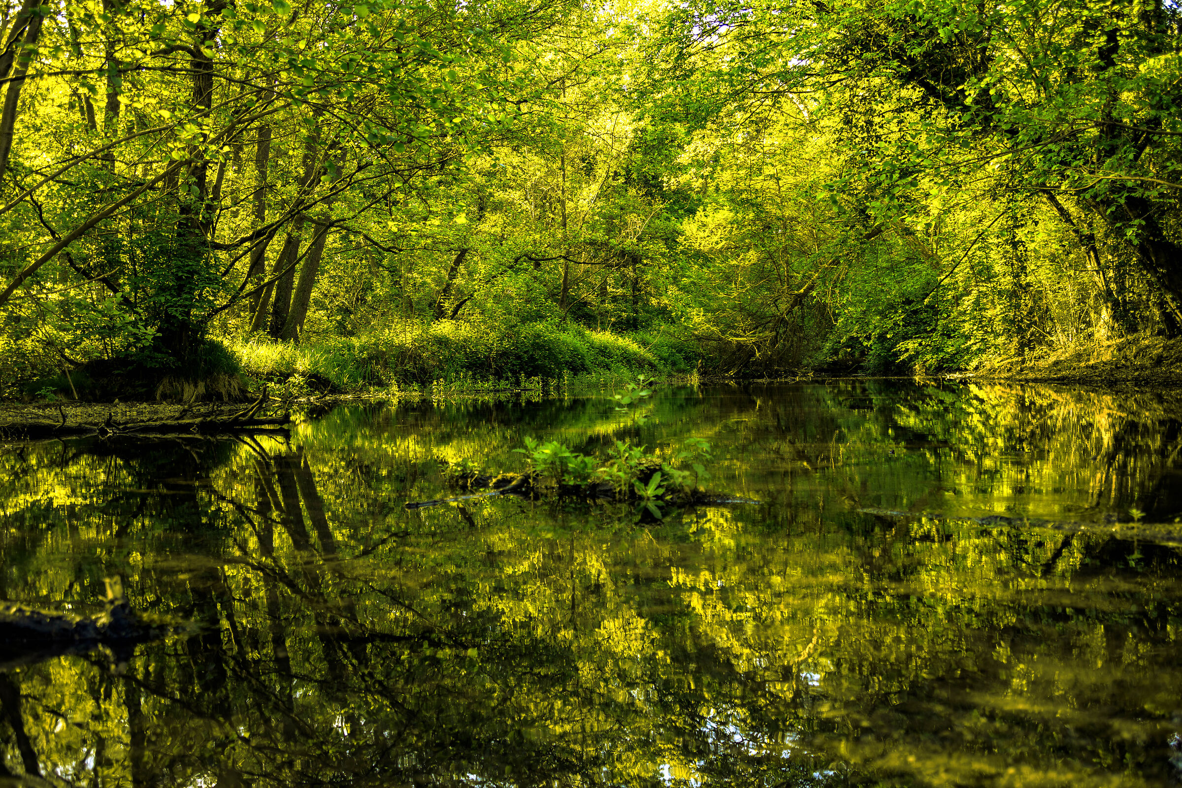Il mio "buen retiro"