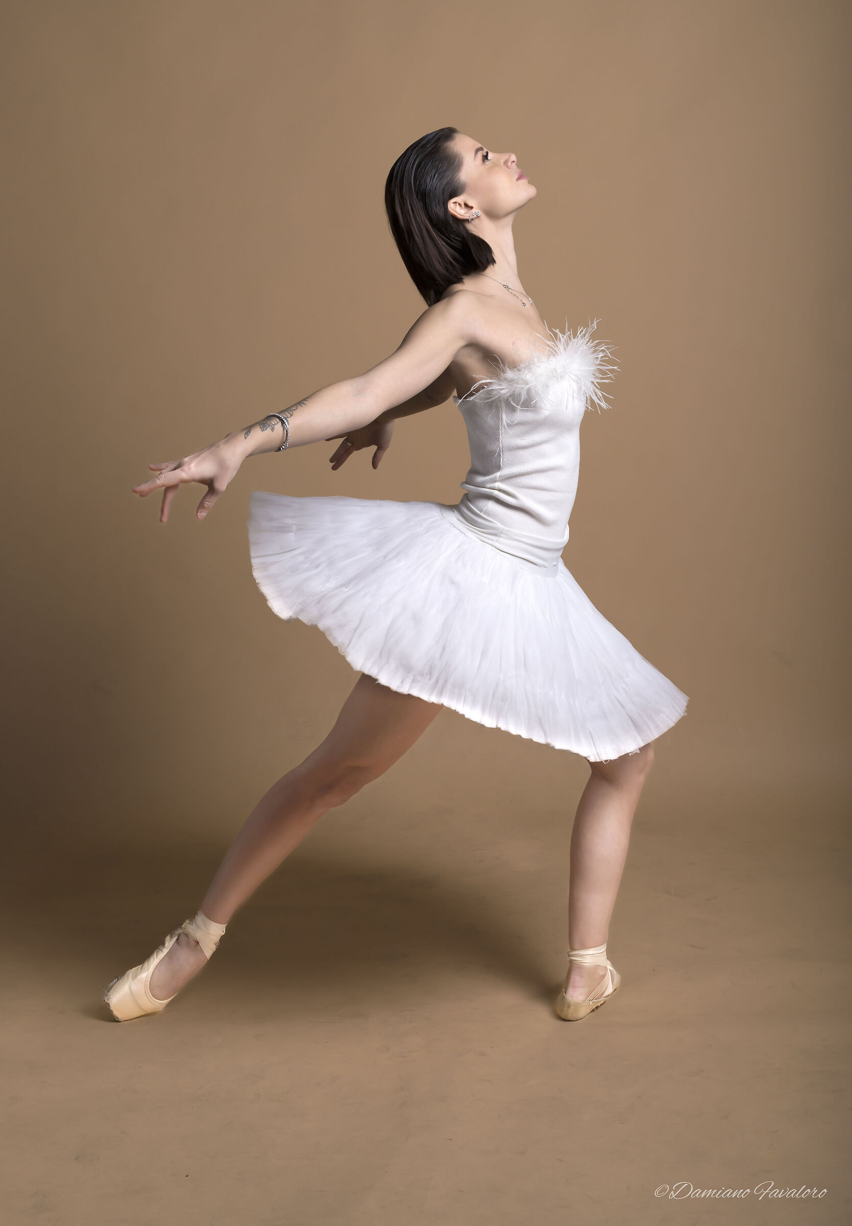 la danzatrice
