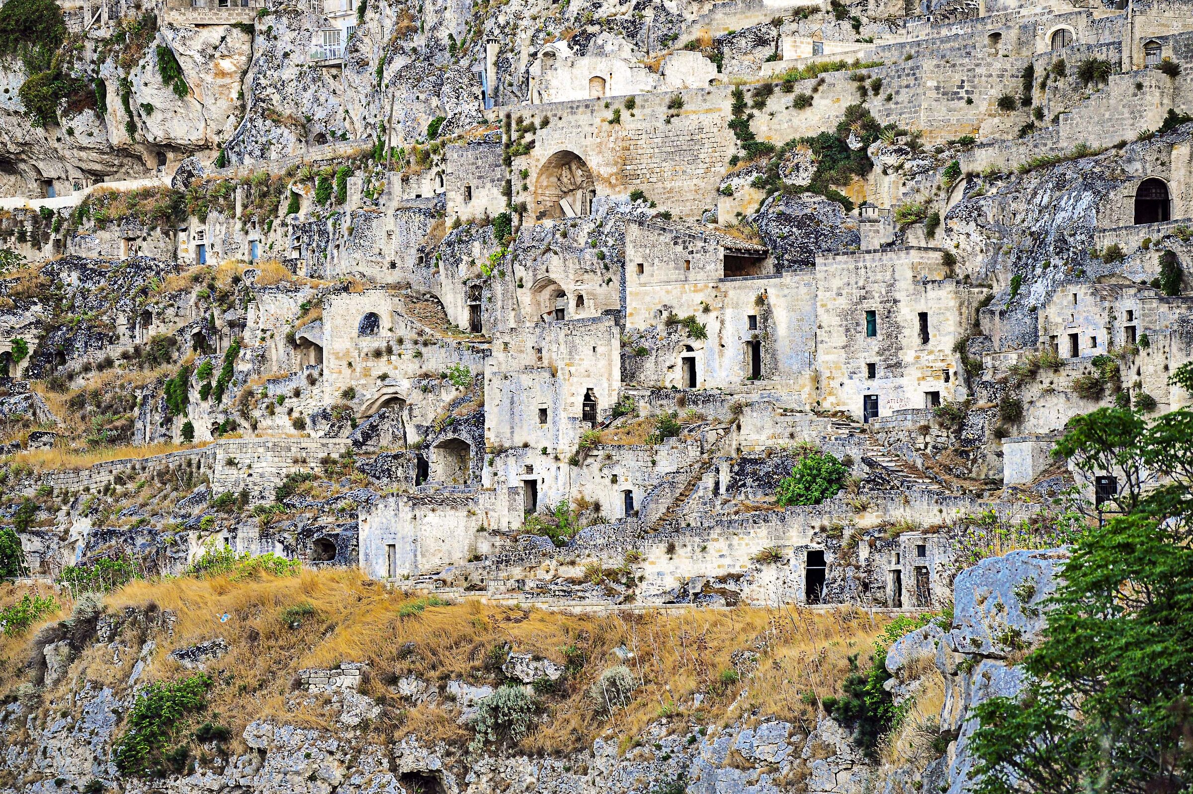 panoramica 5