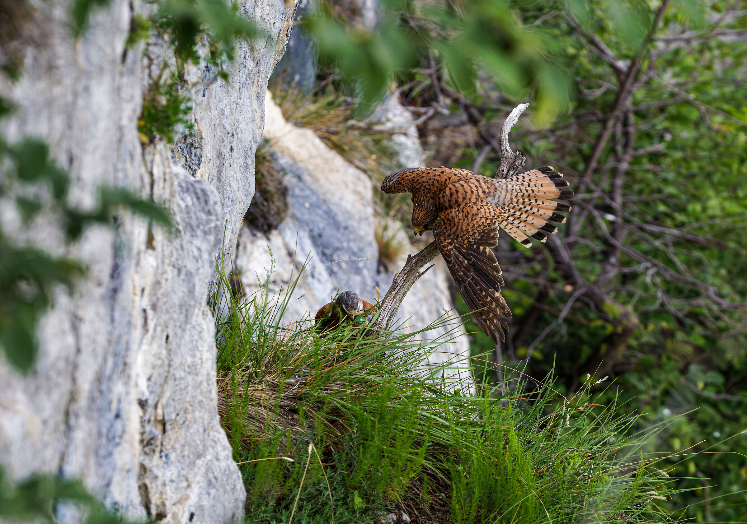 A little bit for me too