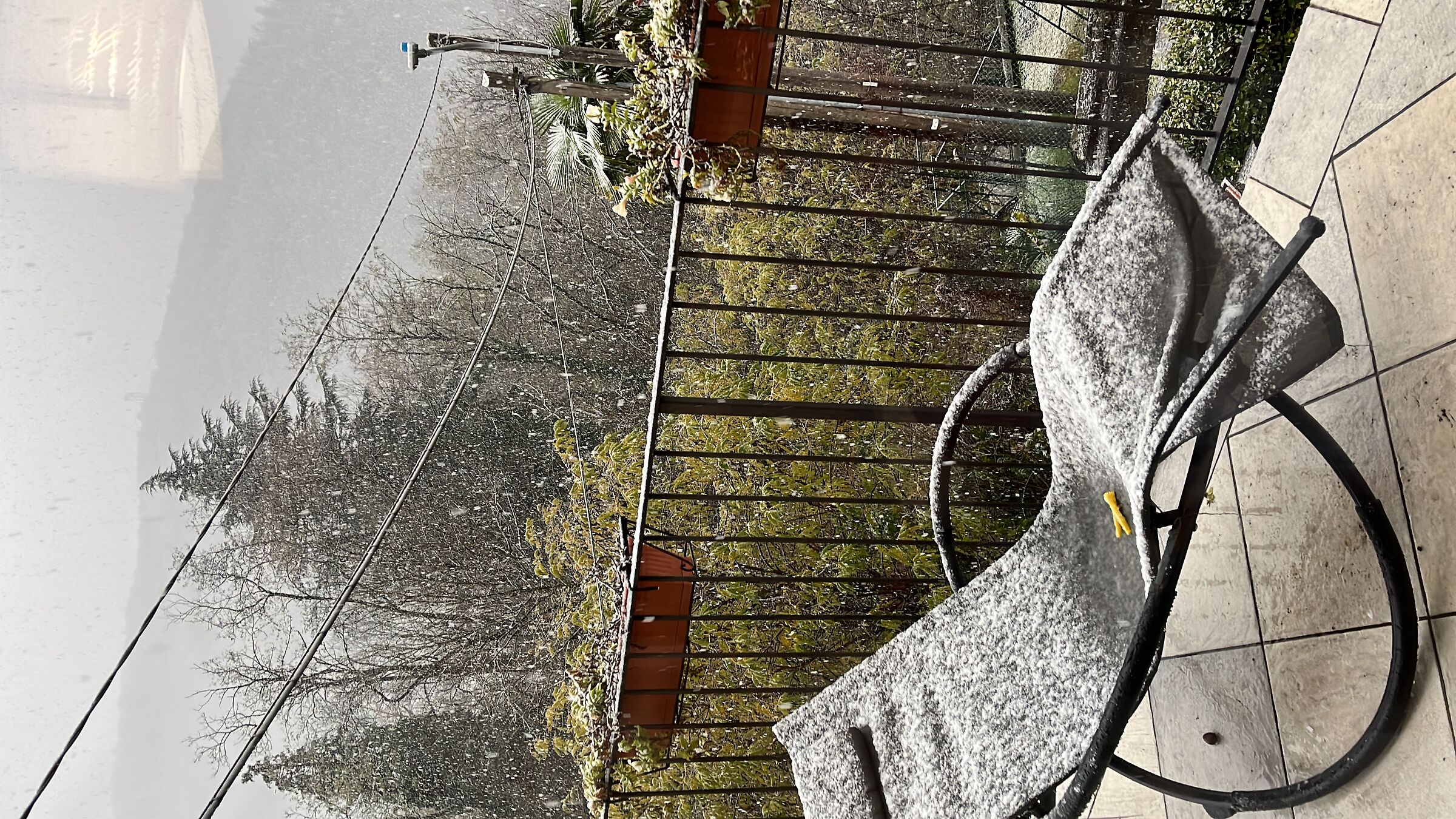 The calm of the snow