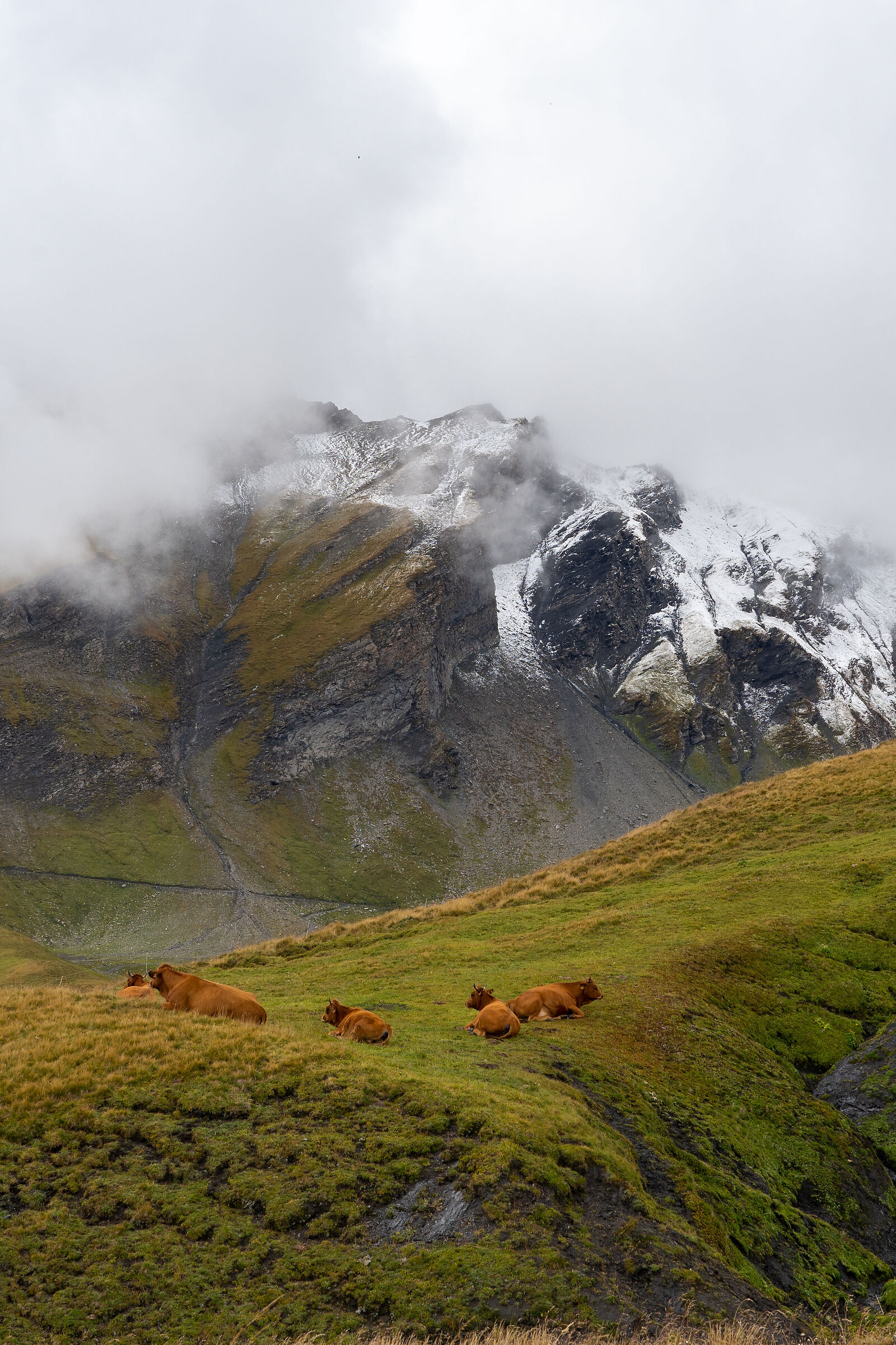 (almost) at the edge of the world