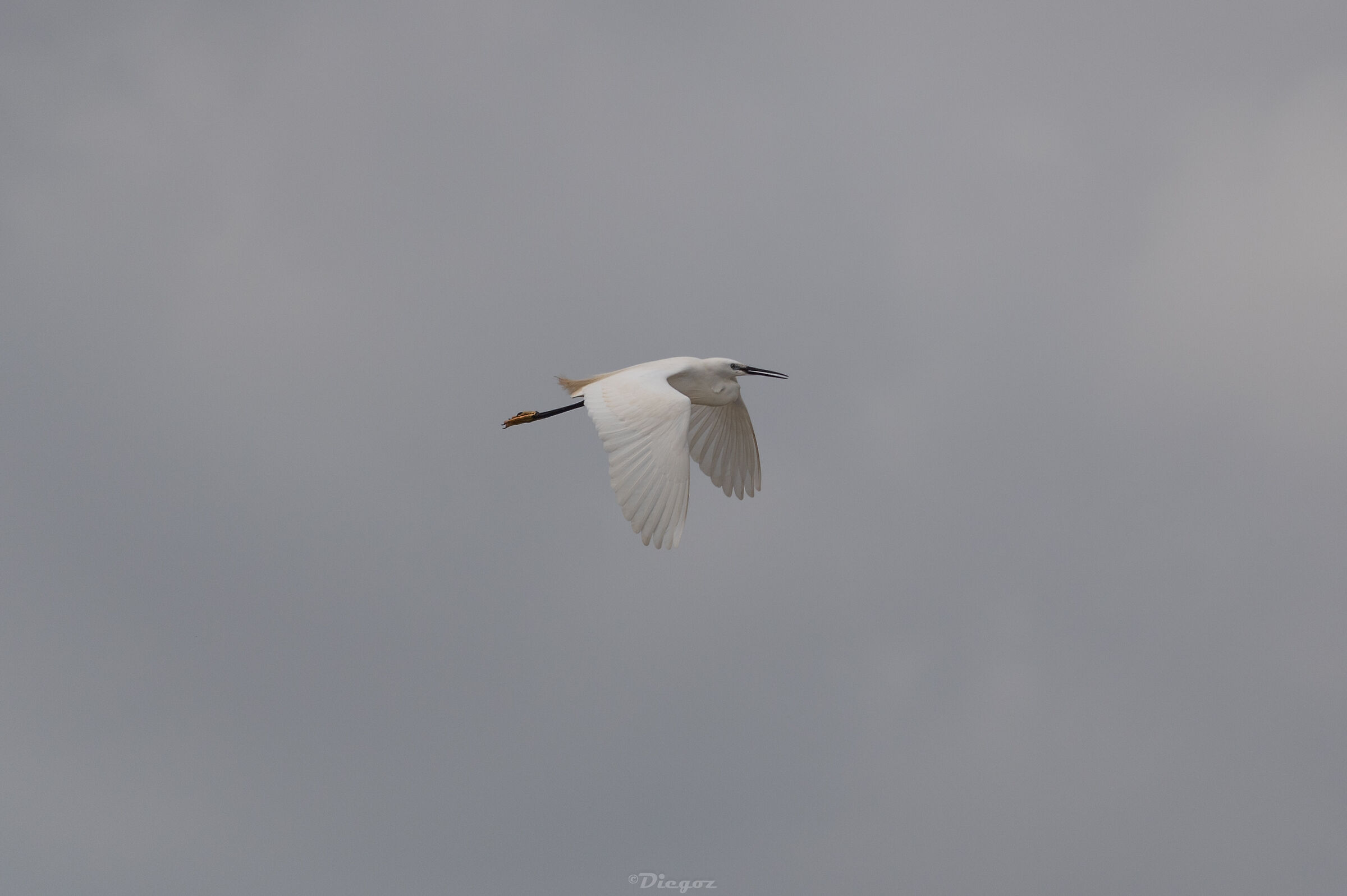 Untitled Photo