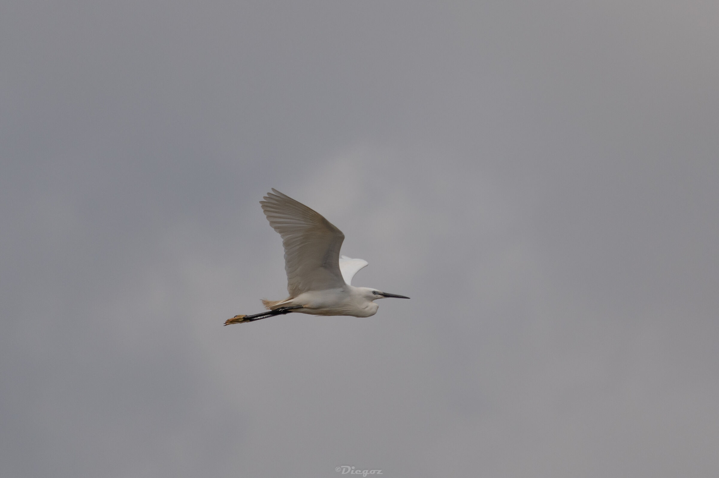 Untitled Photo