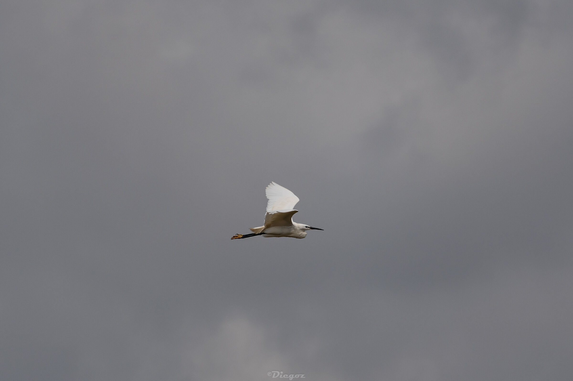 Untitled Photo
