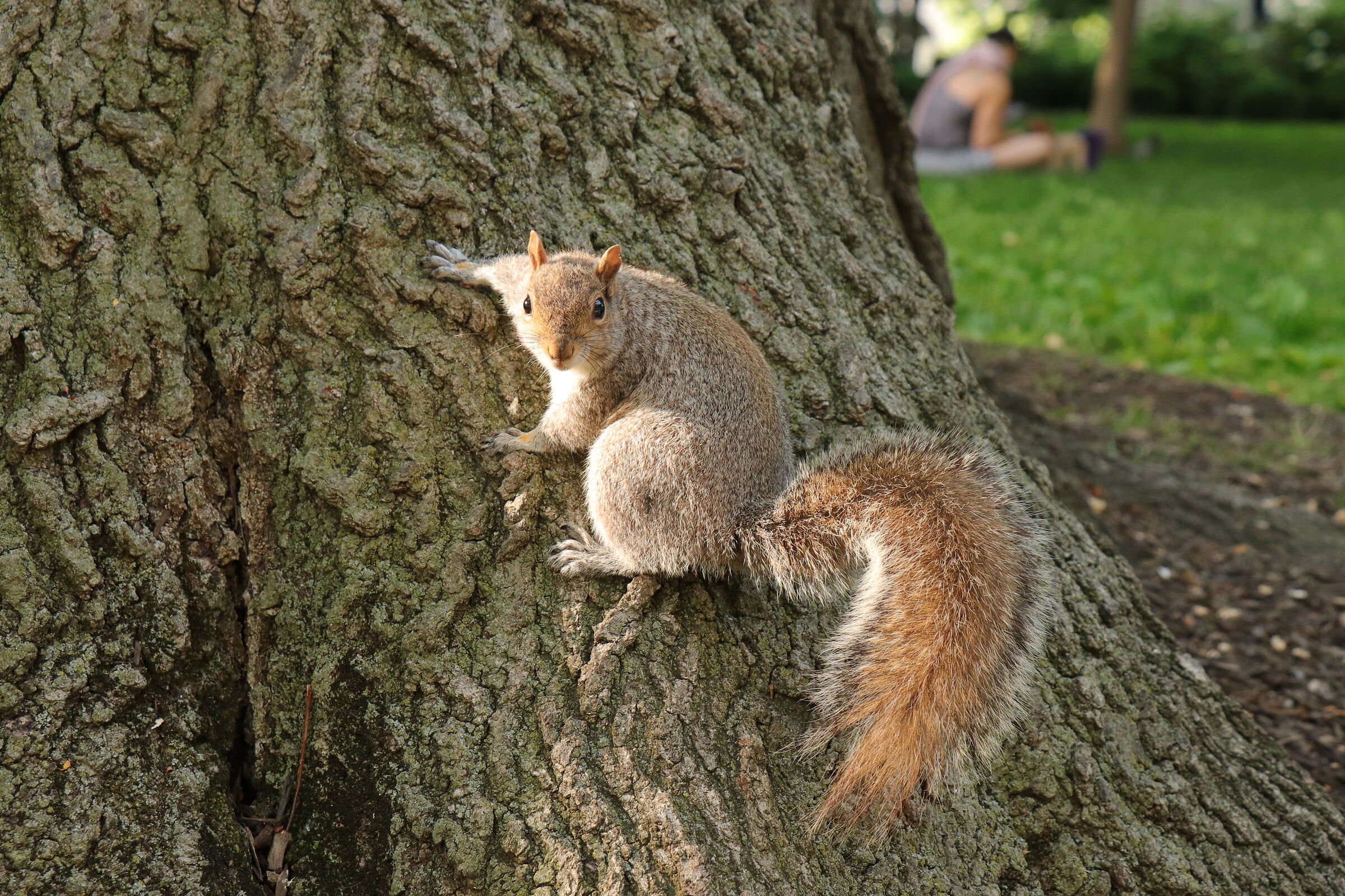 Philadelphia Liberty Bell National Park