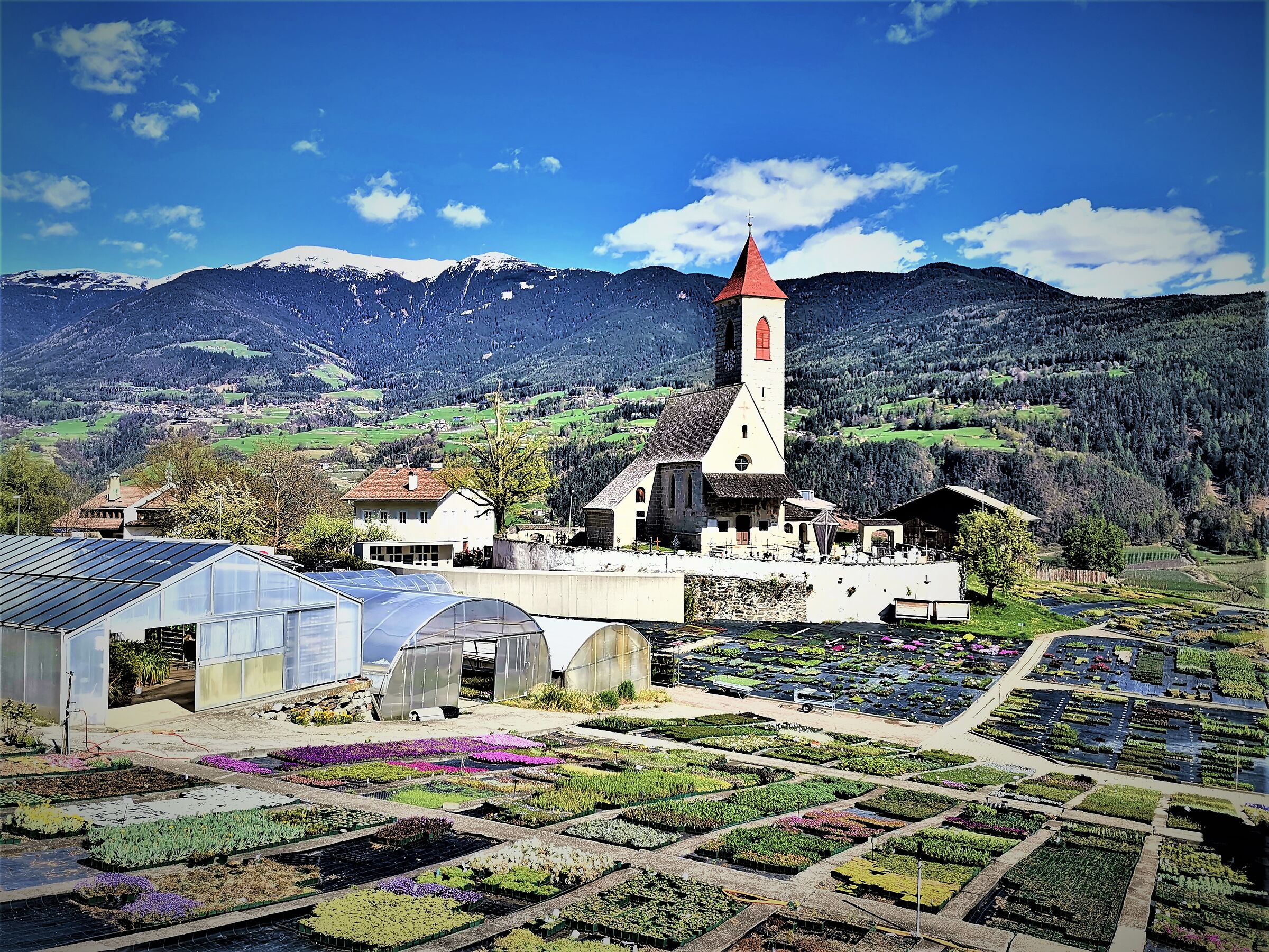 Fresh flowers all year round .............