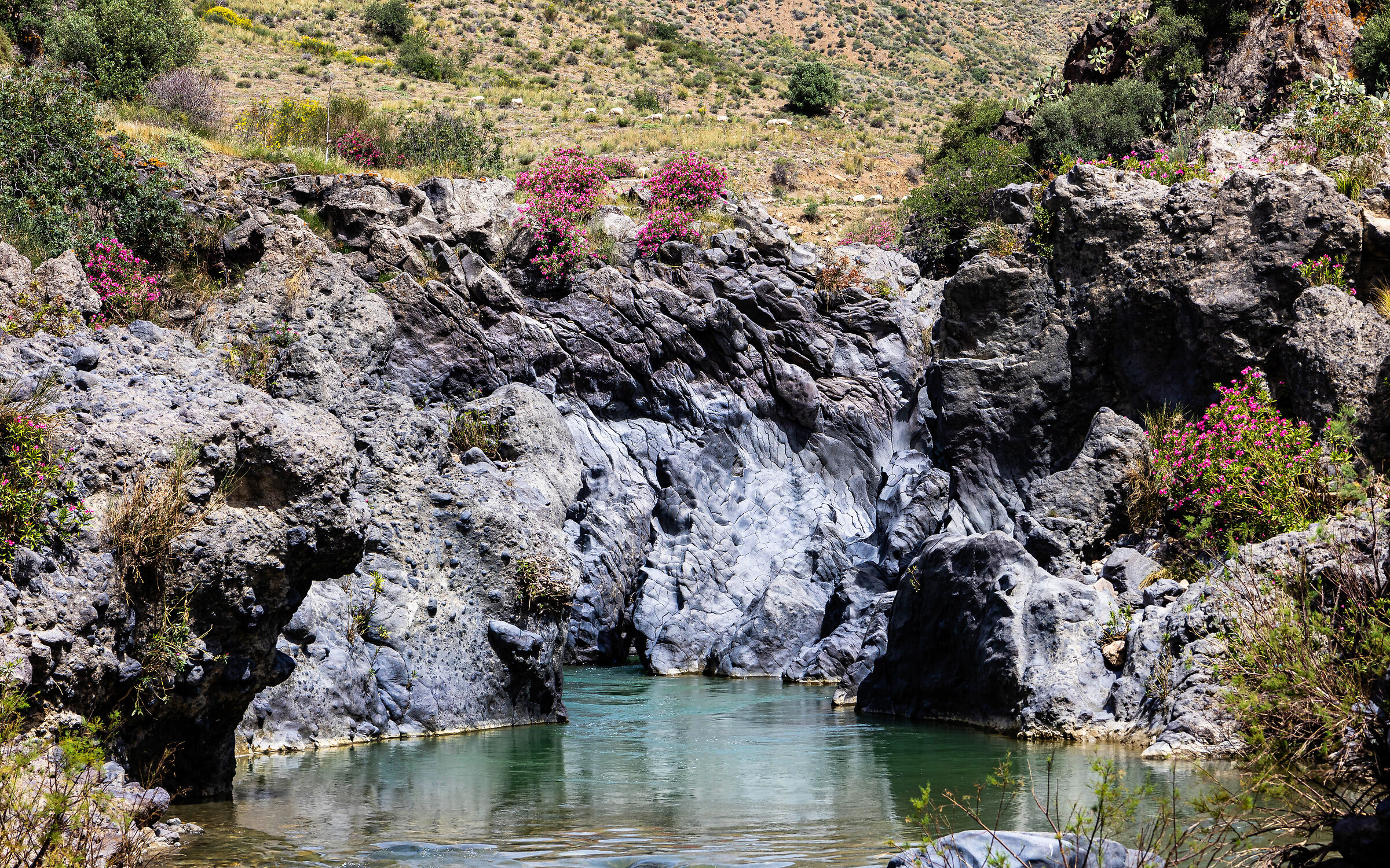 Fiume simeto(Adrano)