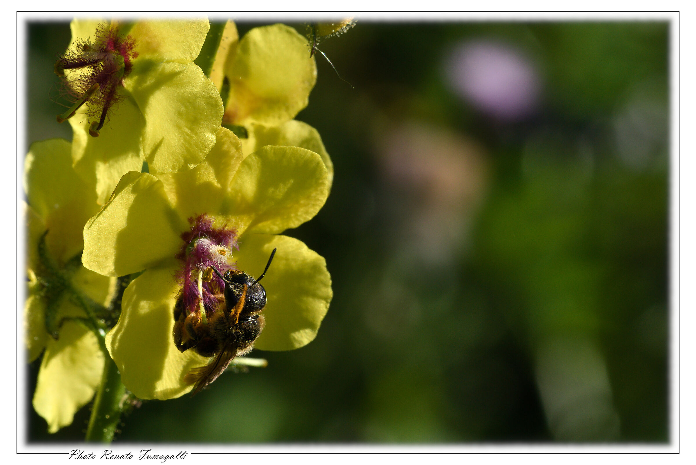 Untitled Photo