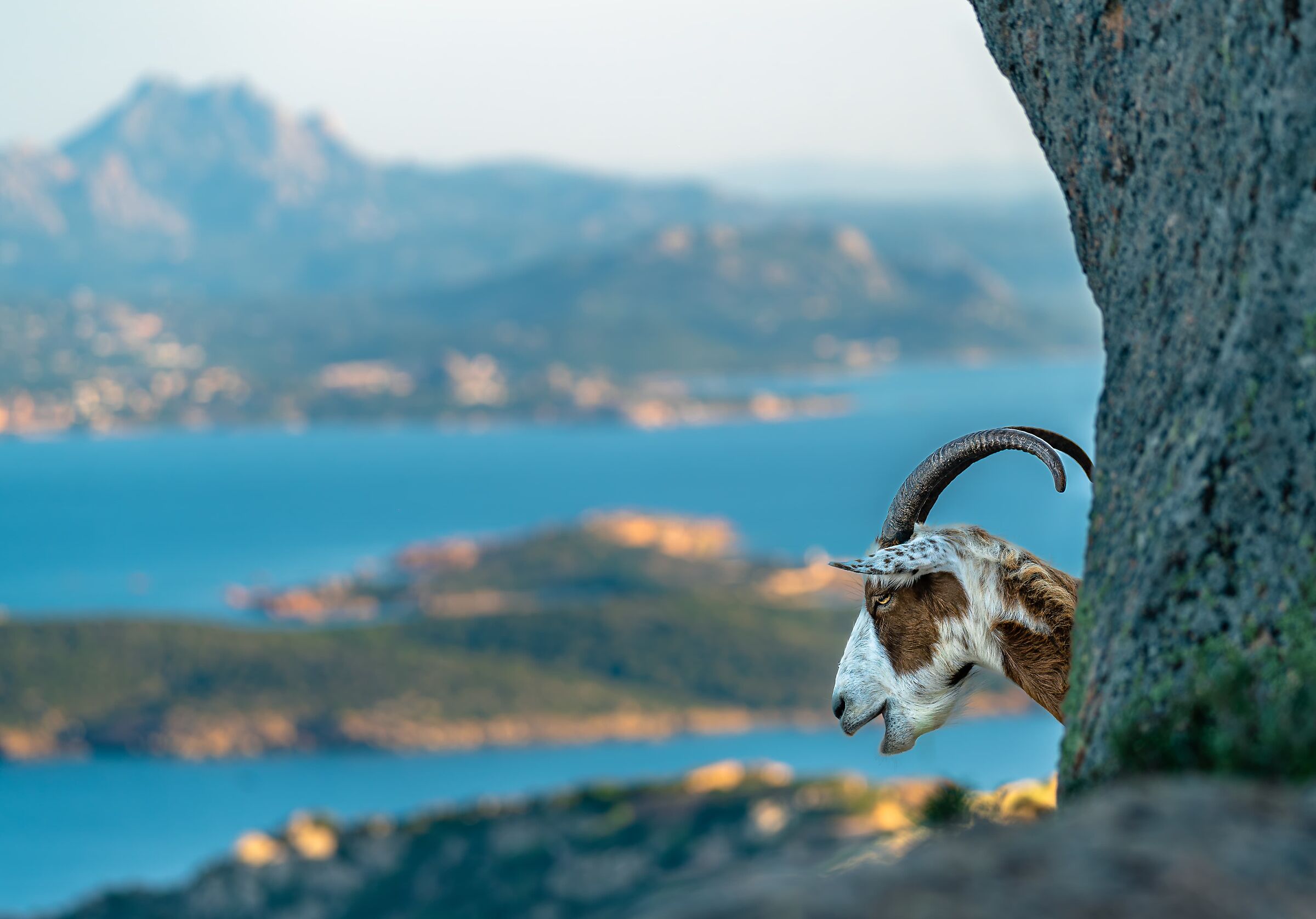 The beautiful island