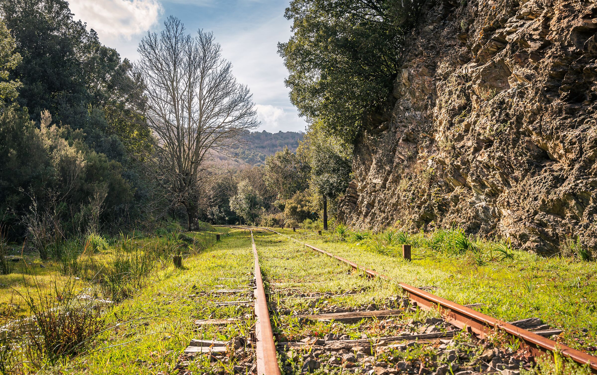 Meana Sardo Railway