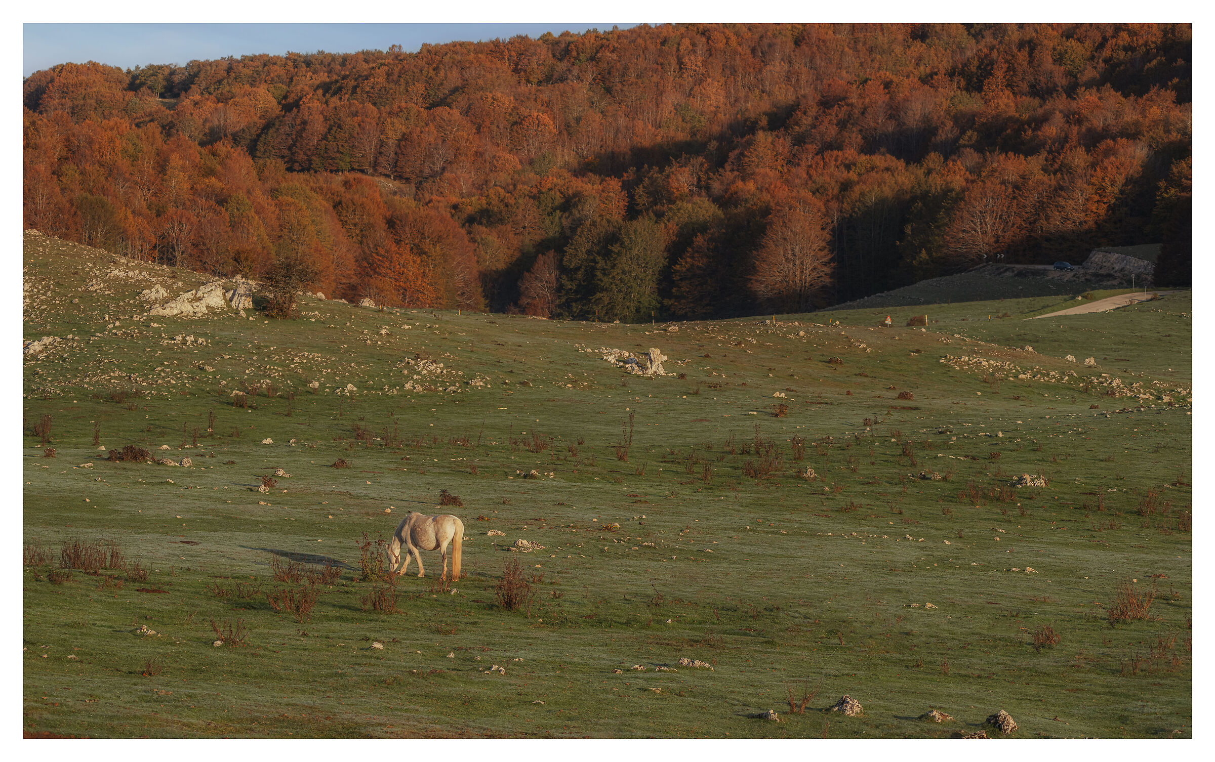 Raggi del primo mattino sulla piana