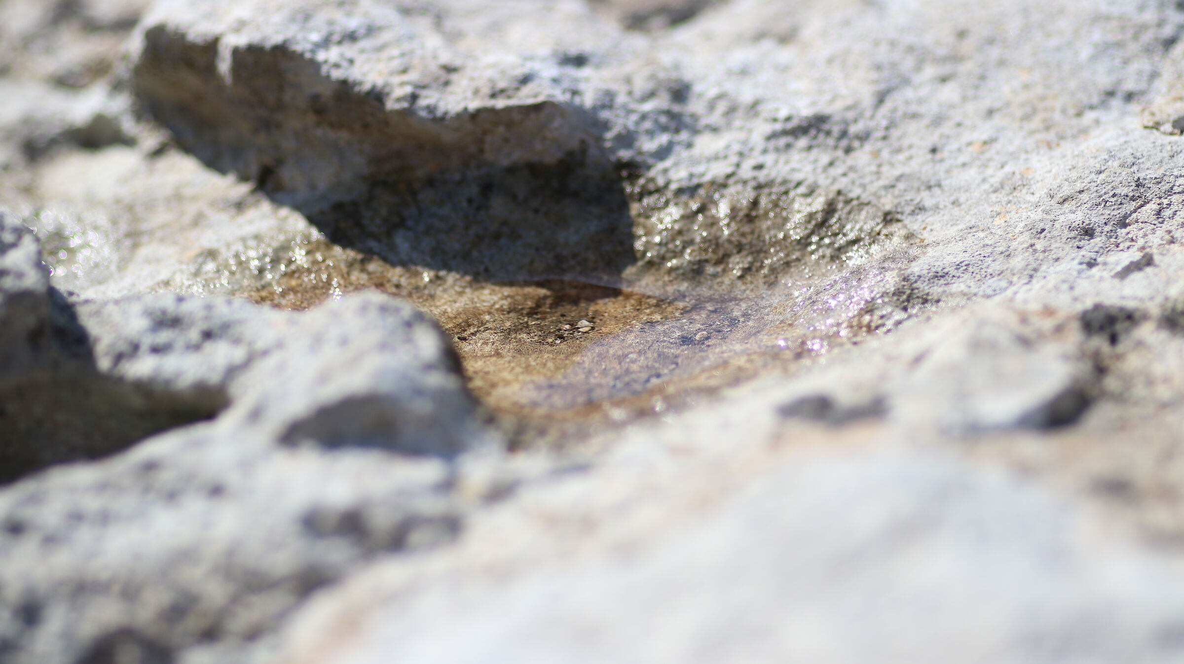 " @ F. 2 ", Crop 216, Canon 135 F. 2 L, 80 D