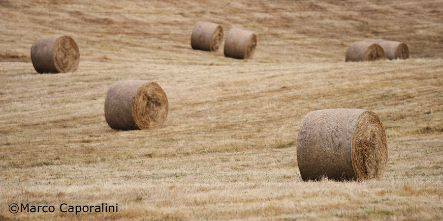 Round bales