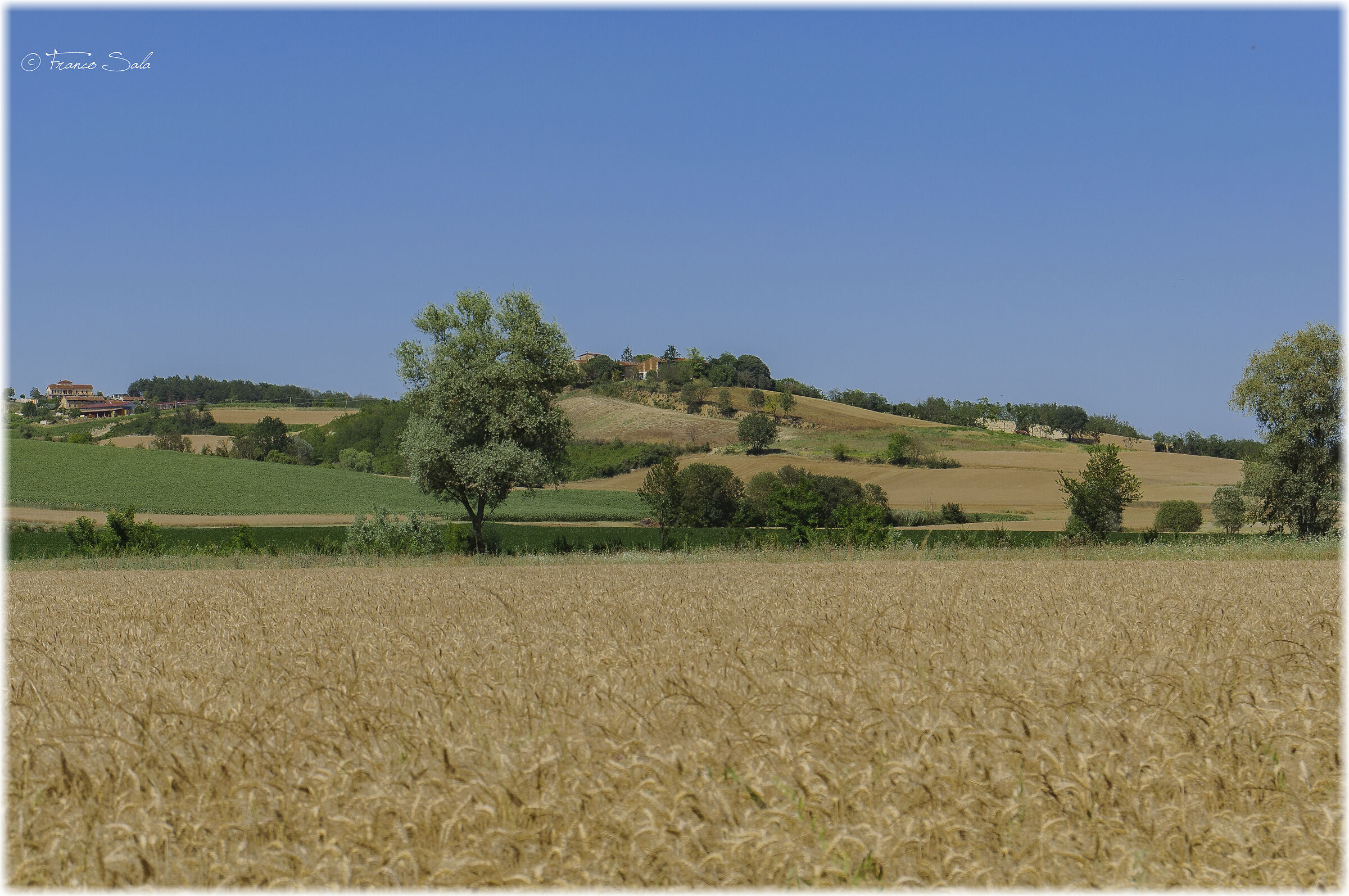 Monferrato