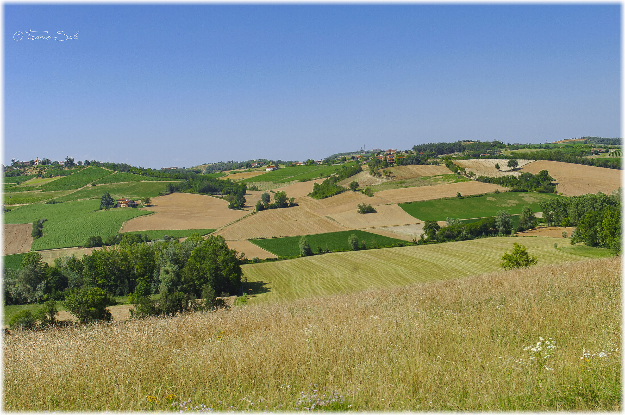 Monferrato