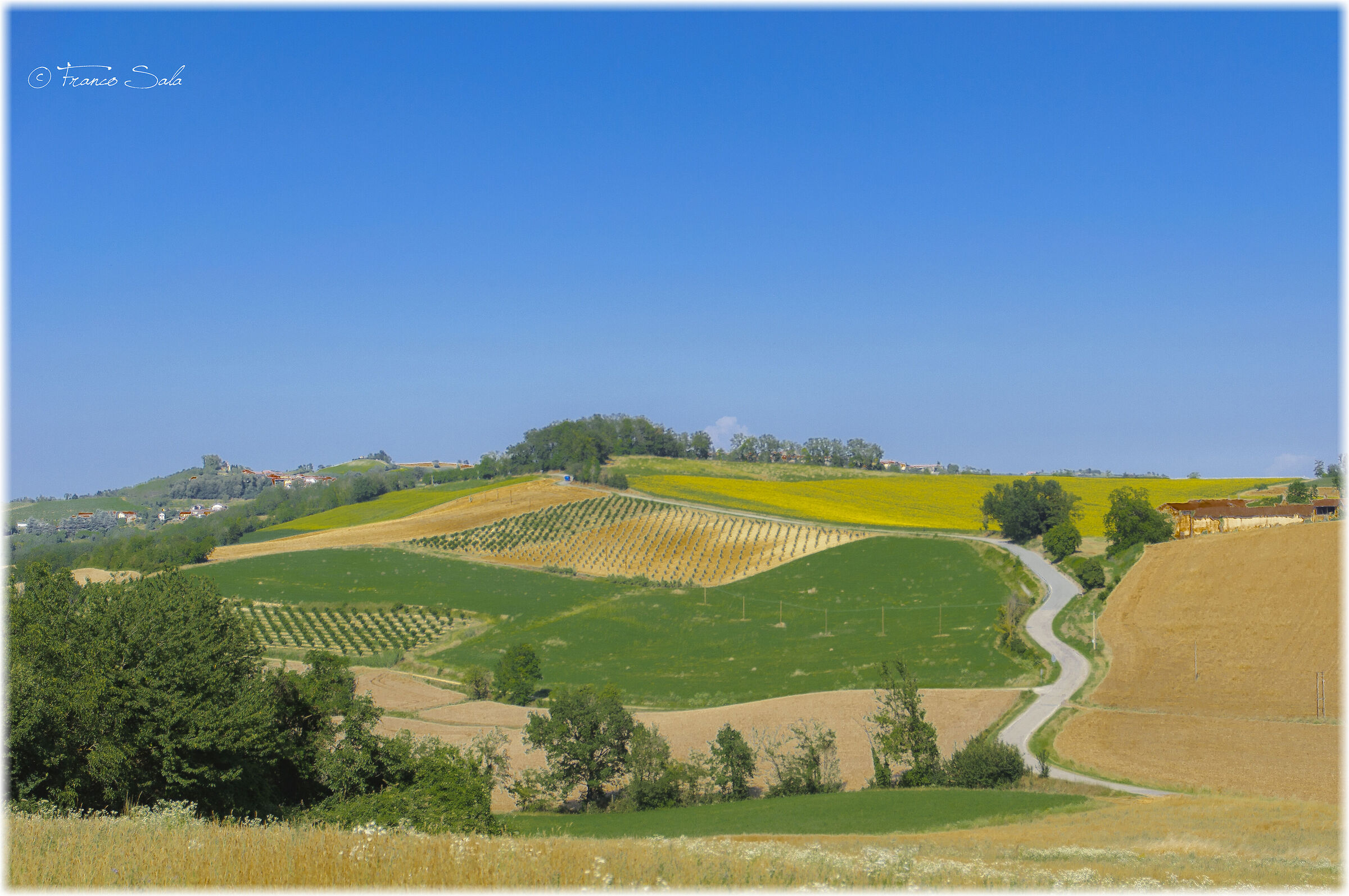 Monferrato