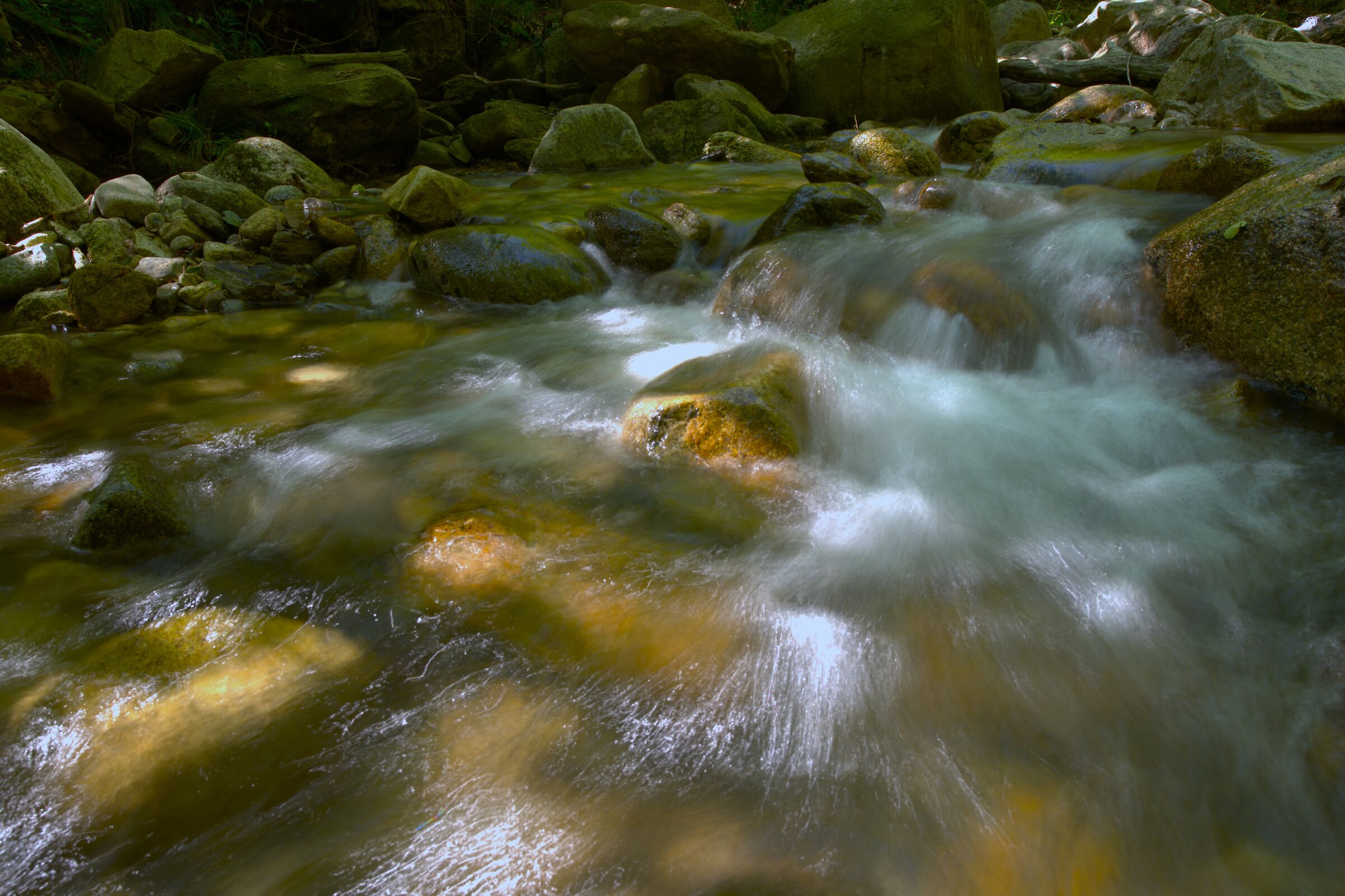 filaments between the stones